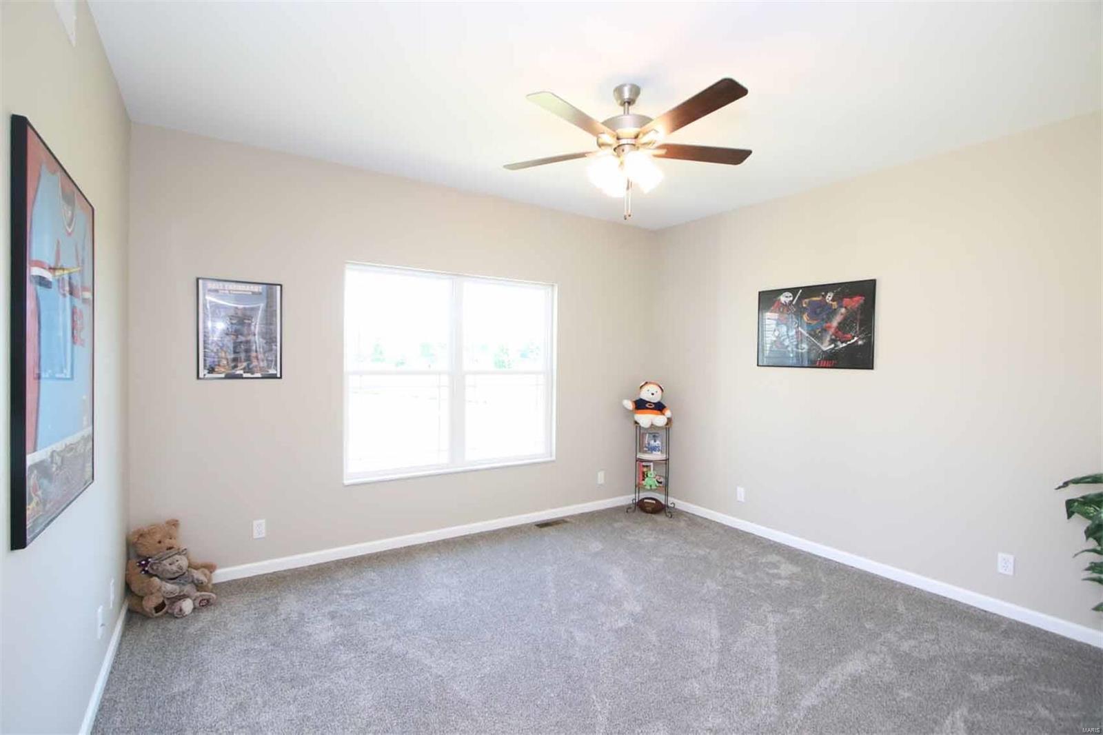211 Carter Ridge Drive Highland, IL 62249 - Photo 24 of 44