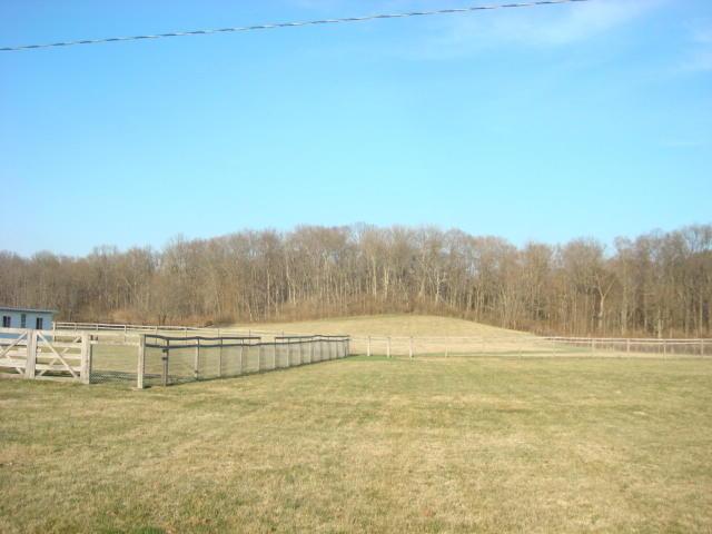 1206 State Rte 207 Chillicothe, OH 45601 - Photo 5 of 26 Gallery Image 5