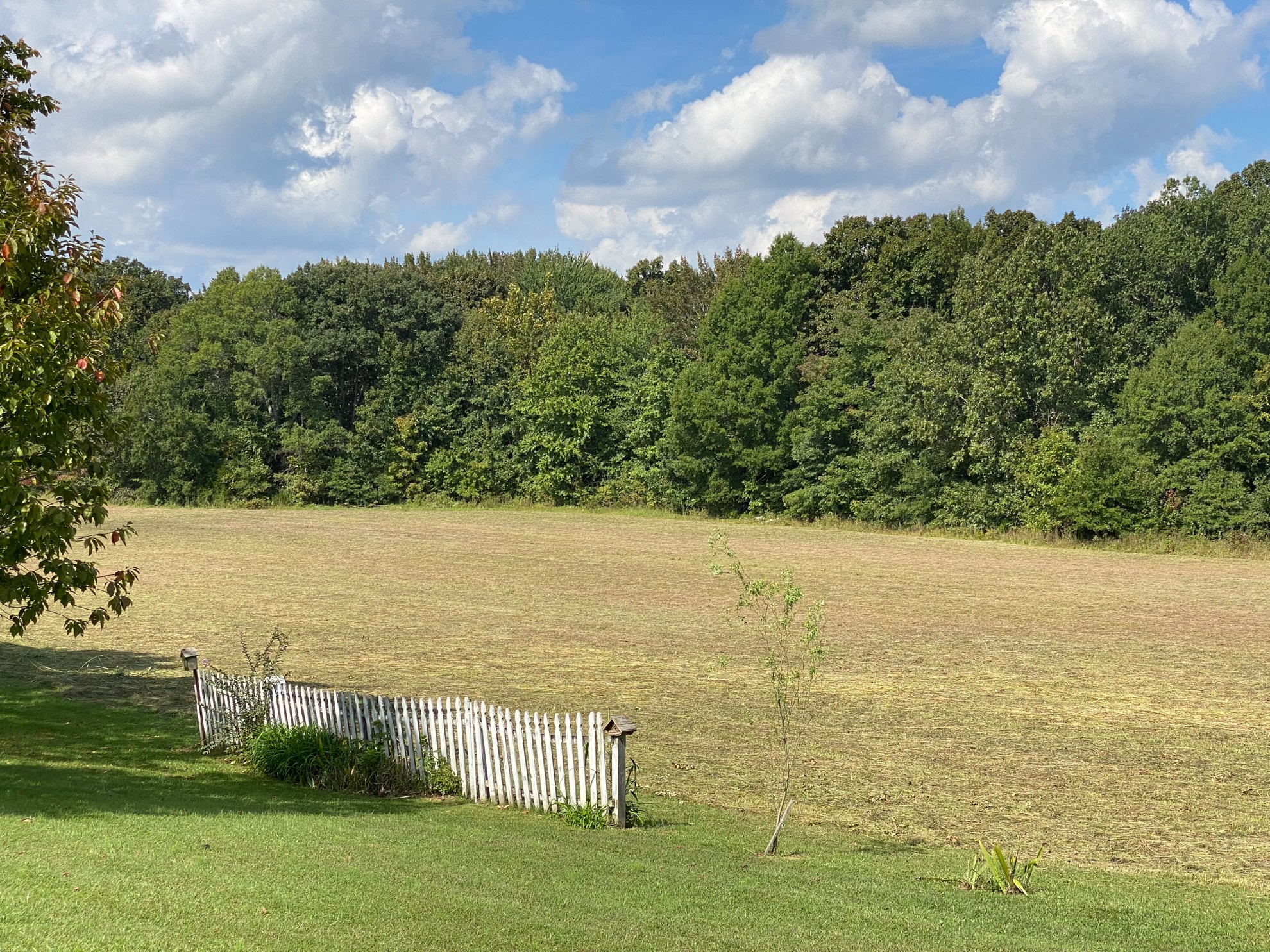 5366 Marion Road Cunningham, TN 37052 - Photo 3 of 29 a view of an ocean and beach