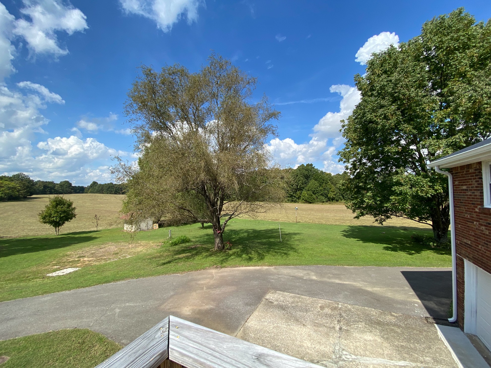 5366 Marion Road Cunningham, TN 37052 - Photo 23 of 29 a view of a yard with flower plants