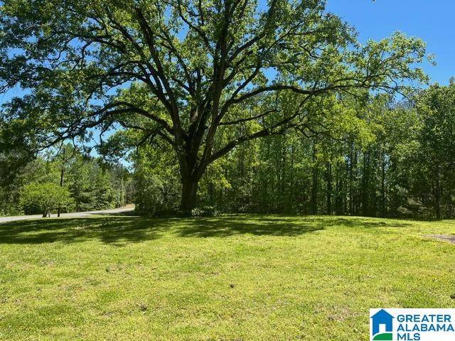 1910 Blue Ridge Road Lineville, AL 36266 - Photo 2 of 23 Gallery Image 2