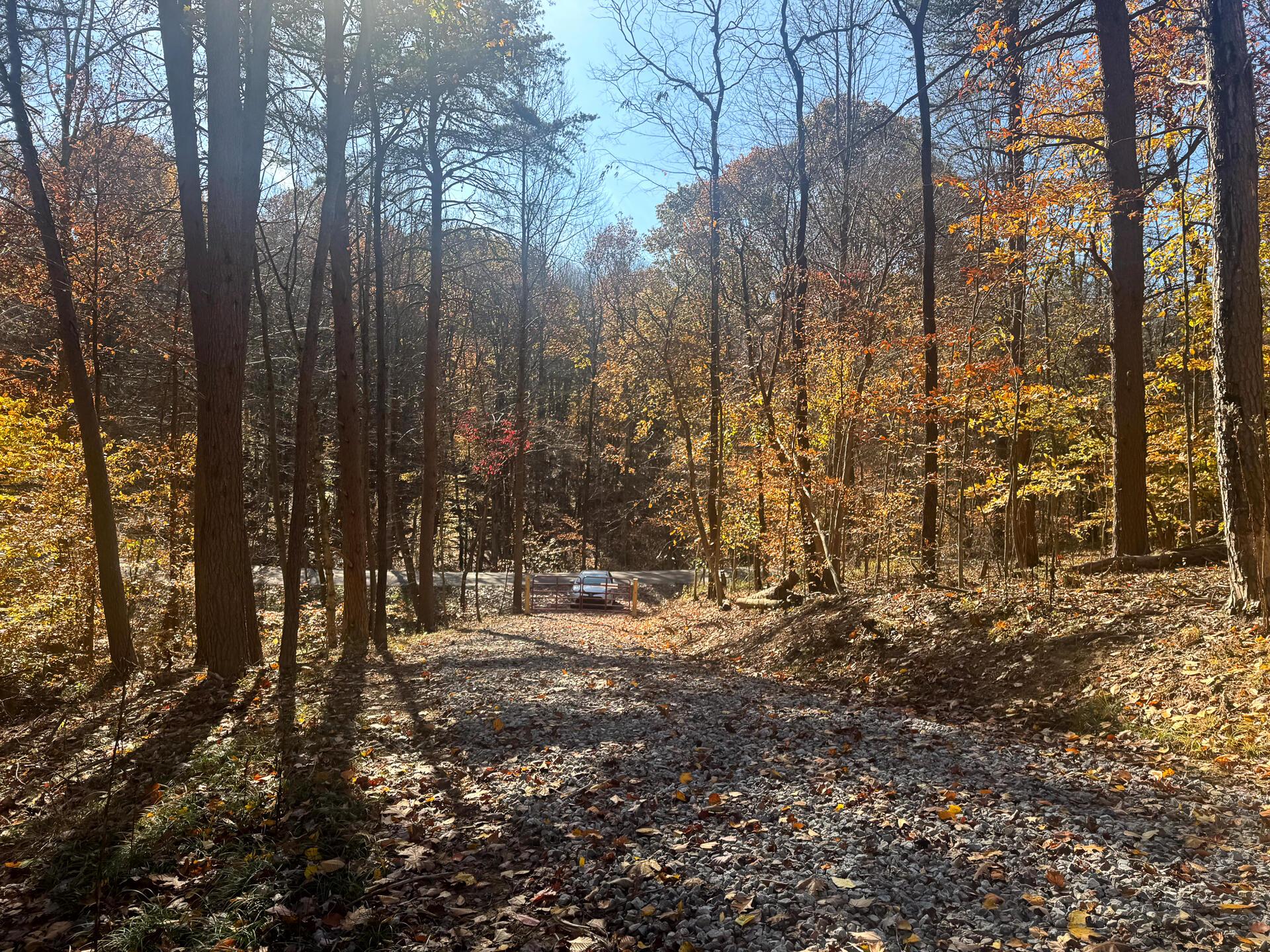 908 Nibert Road, Unit PONDS POPLAR RIDGE TRACT 2) Gallipolis, OH 45631 - Photo 4 of 25 CT-4