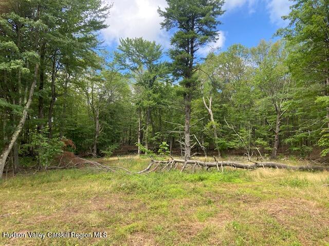 0 Bate Road Craryville, NY 12521 - Photo 10 of 10 IMG_6727