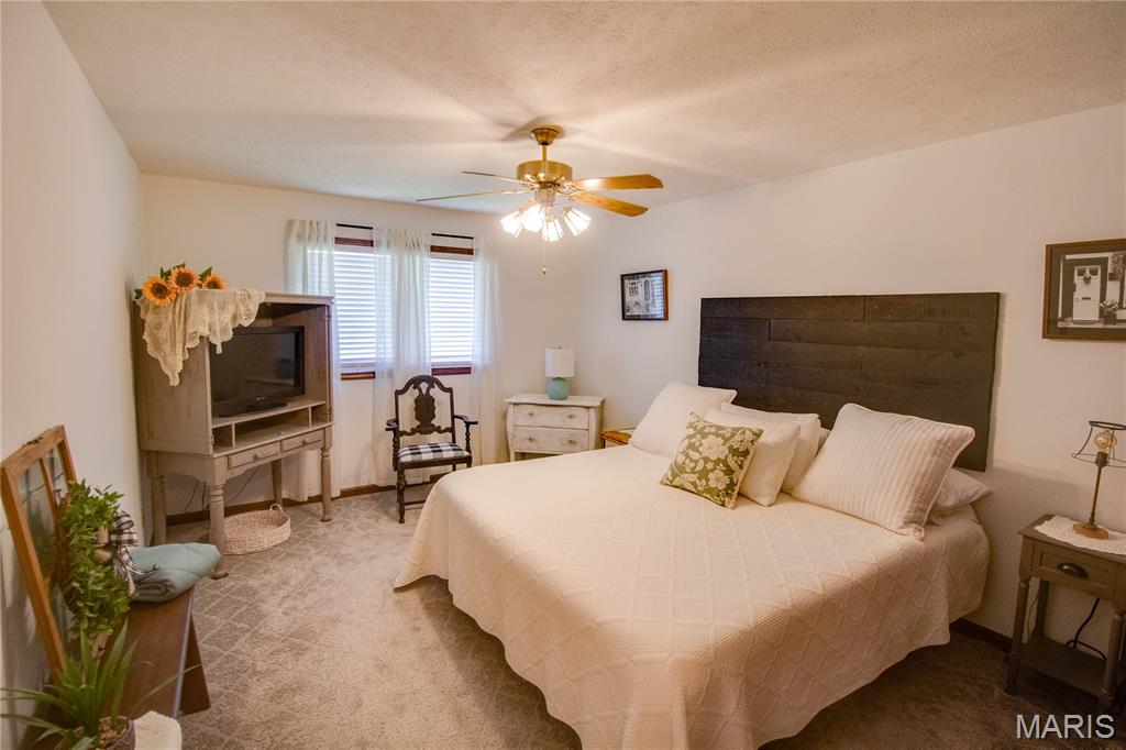 522 North Springfield Street, Unit 8 Virden, IL 62690 - Photo 48 of 64 Gallery Image 48