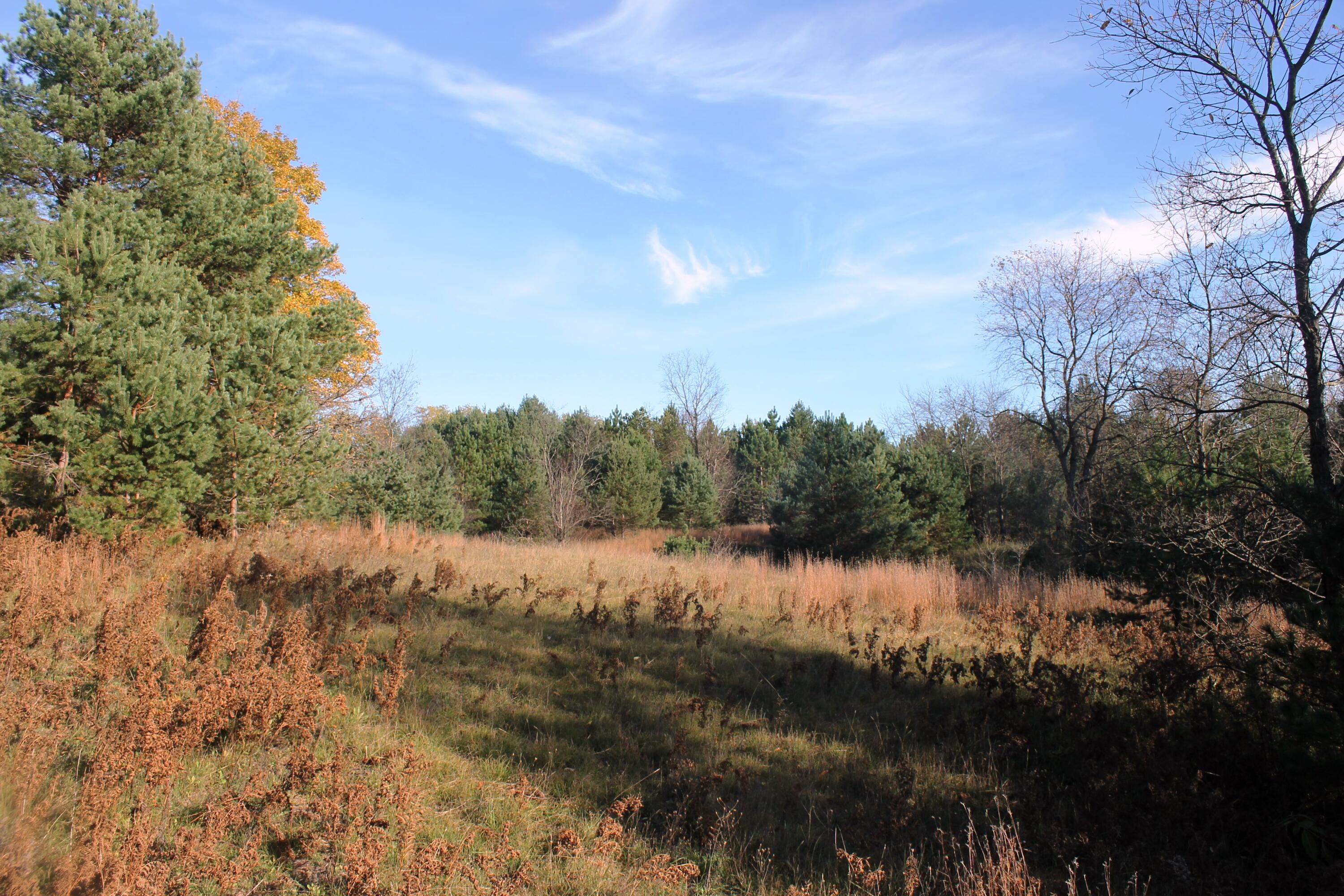 8126 North Petersen Road Frederic, MI 49733 - Photo 62 of 77 Gallery Image 62