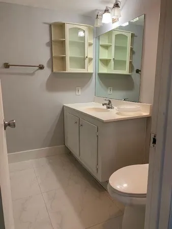 a bathroom with a sink a toilet and mirror