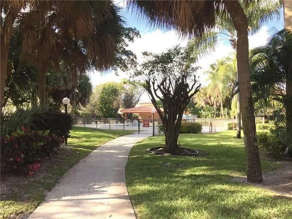 a view of a yard with palm trees