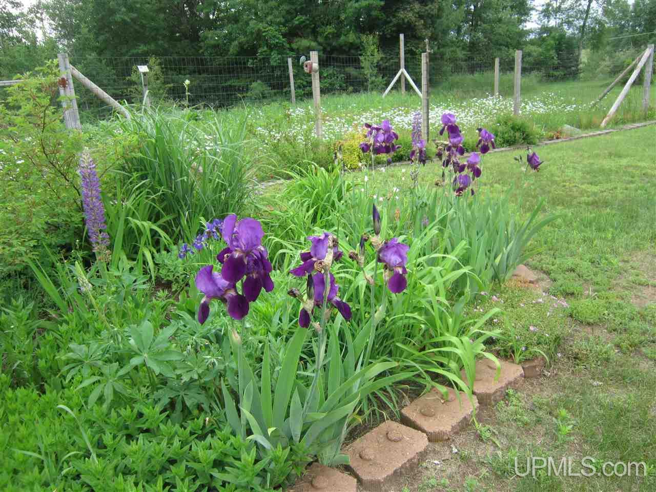 E9516 Lehnen Road Munising, MI 49862 - Photo 29 of 36 Gallery Image 29