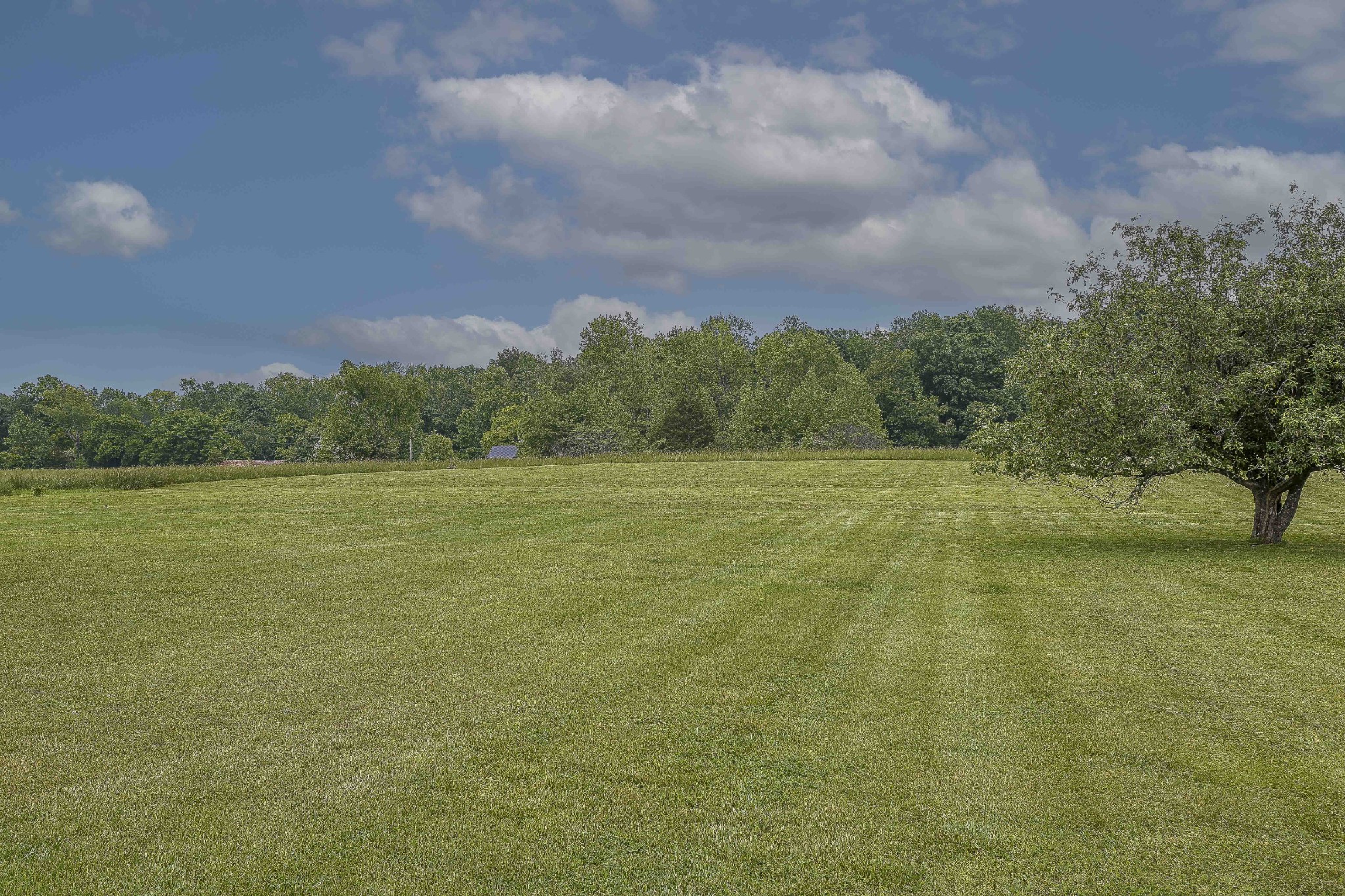 2855 Logan Road Greenbrier, TN 37073 - Photo 66 of 67 Gallery Image 66