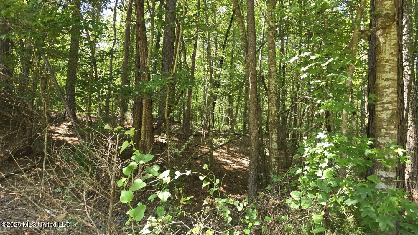 3995 Choctaw Road Brookhaven, MS 39601 - Photo 70 of 73 20260709_115246
