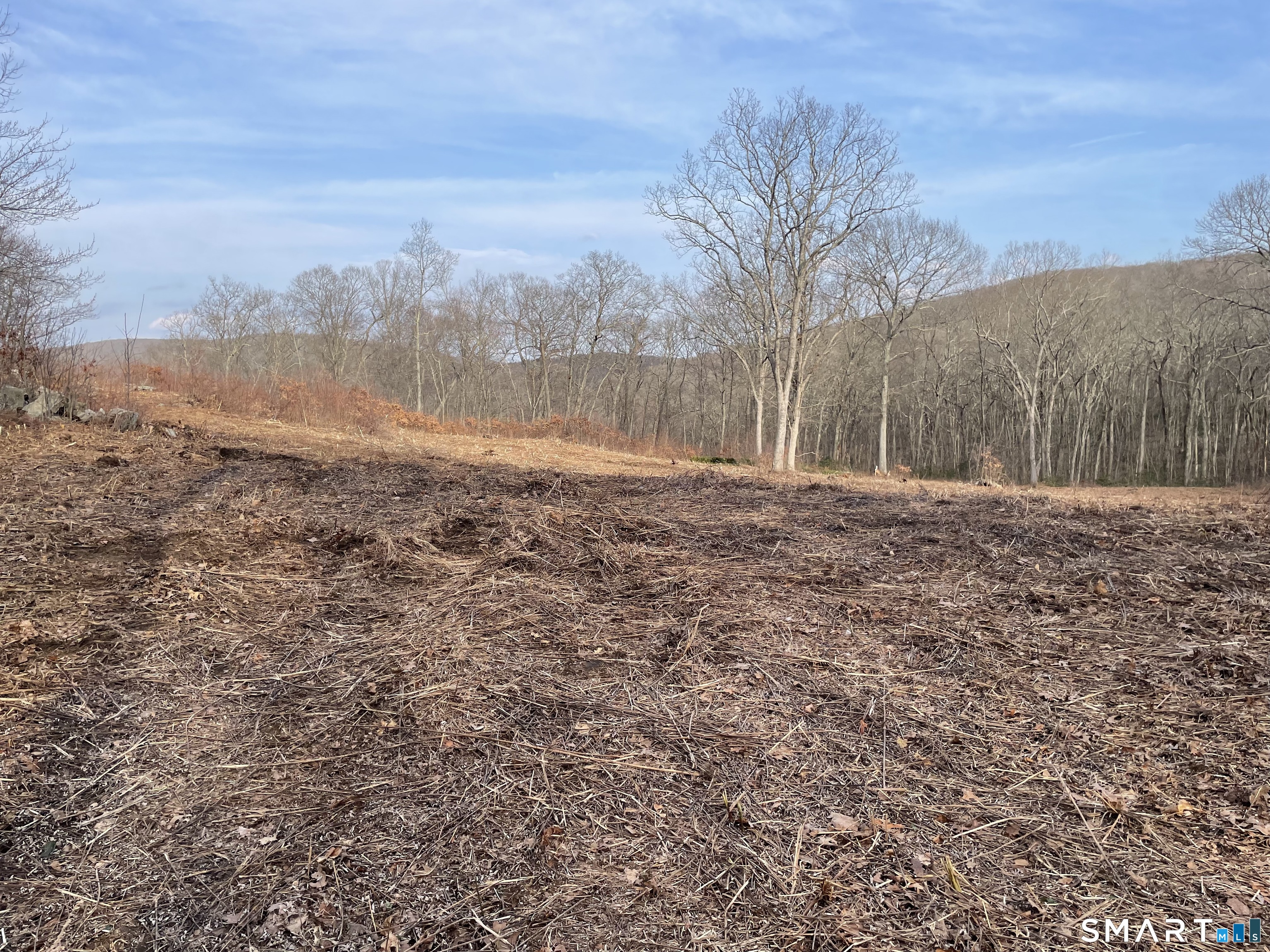 197 Tinker Hill Road Washington, CT 06777 - Photo 17 of 25