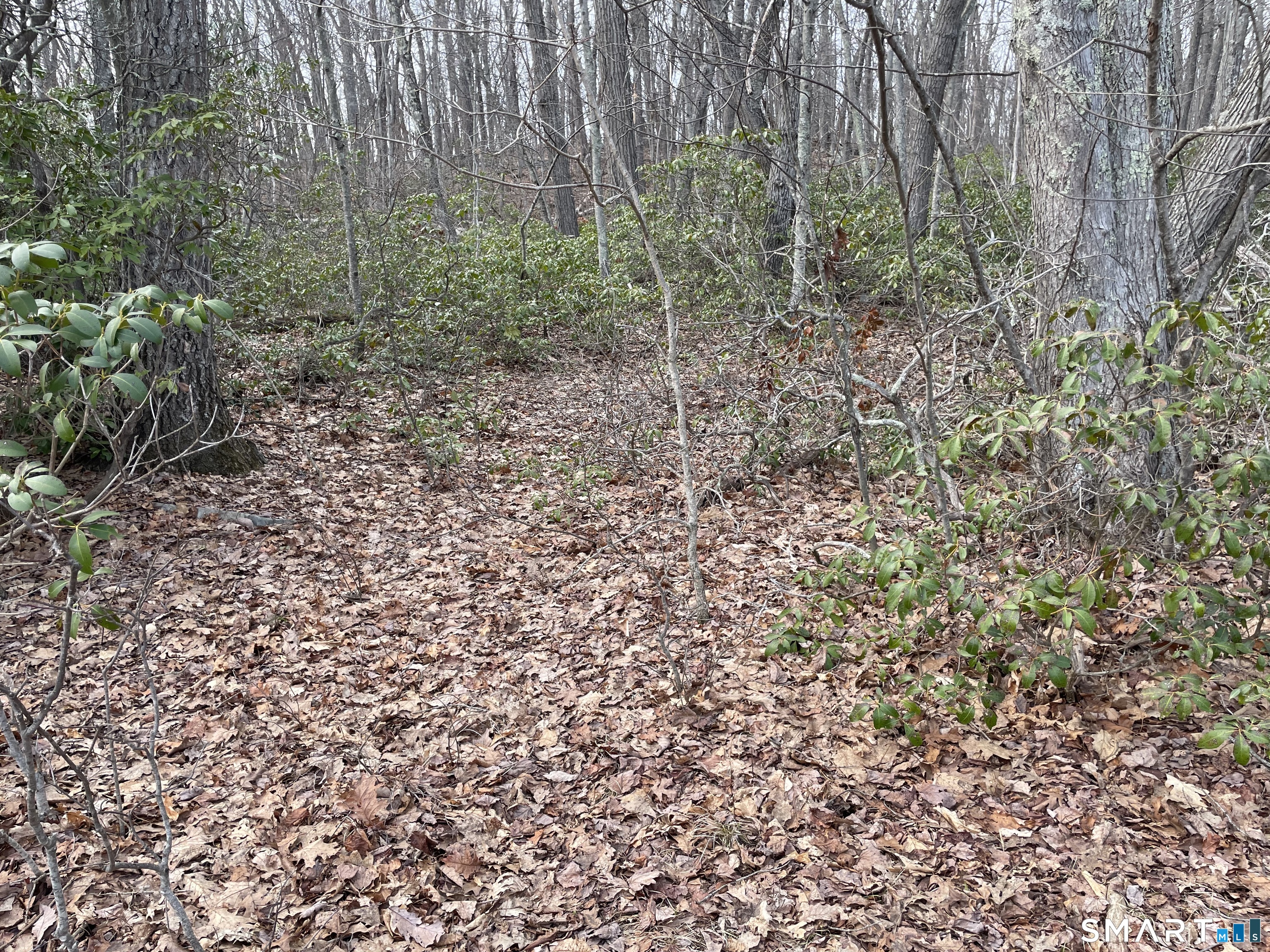 197 Tinker Hill Road Washington, CT 06777 - Photo 20 of 25
