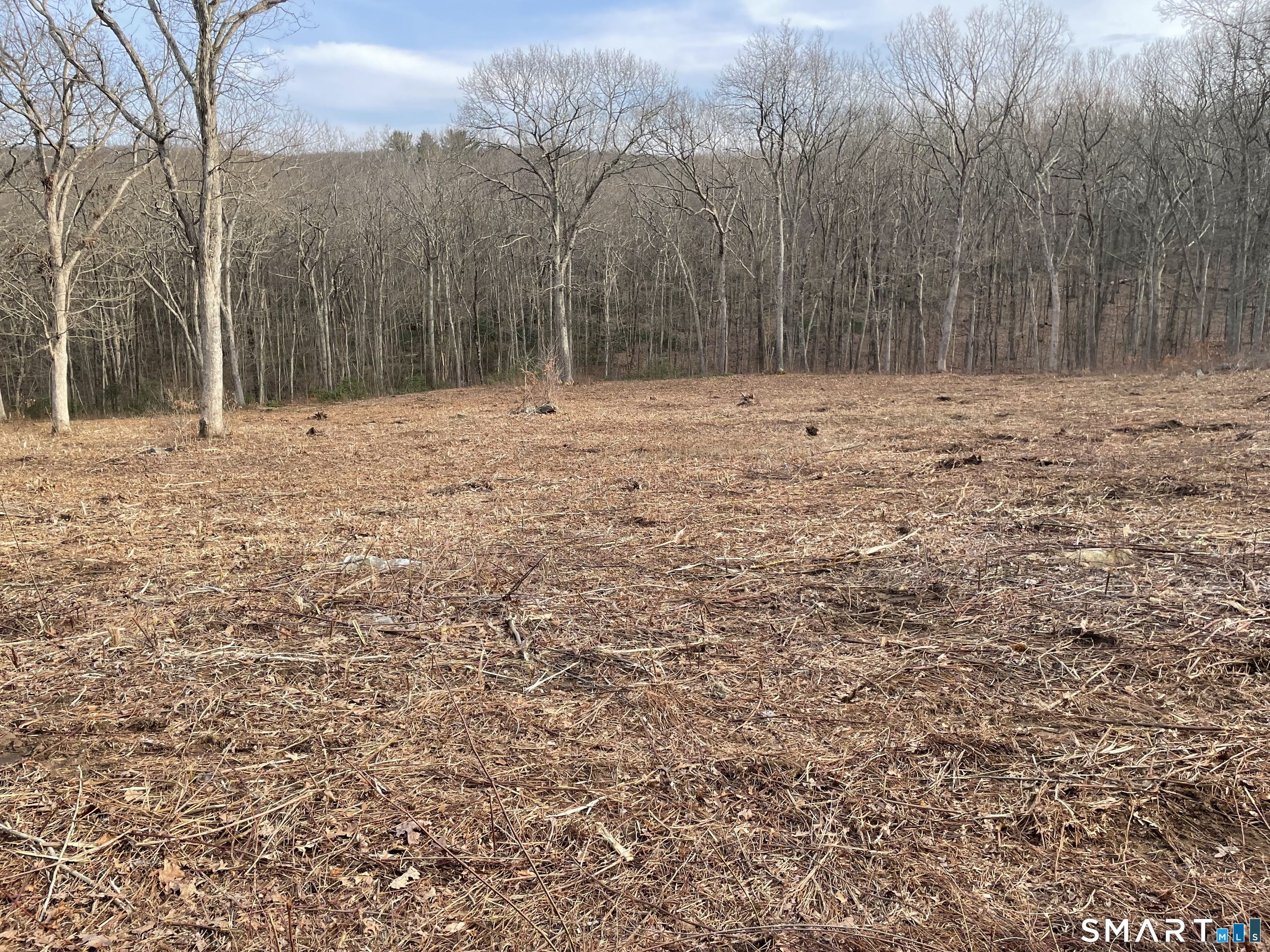 197 Tinker Hill Road Washington, CT 06777 - Photo 2 of 25