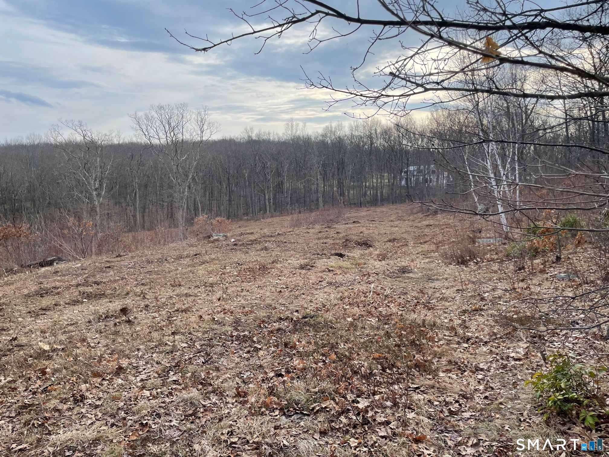 197 Tinker Hill Road Washington, CT 06777 - Photo 21 of 25