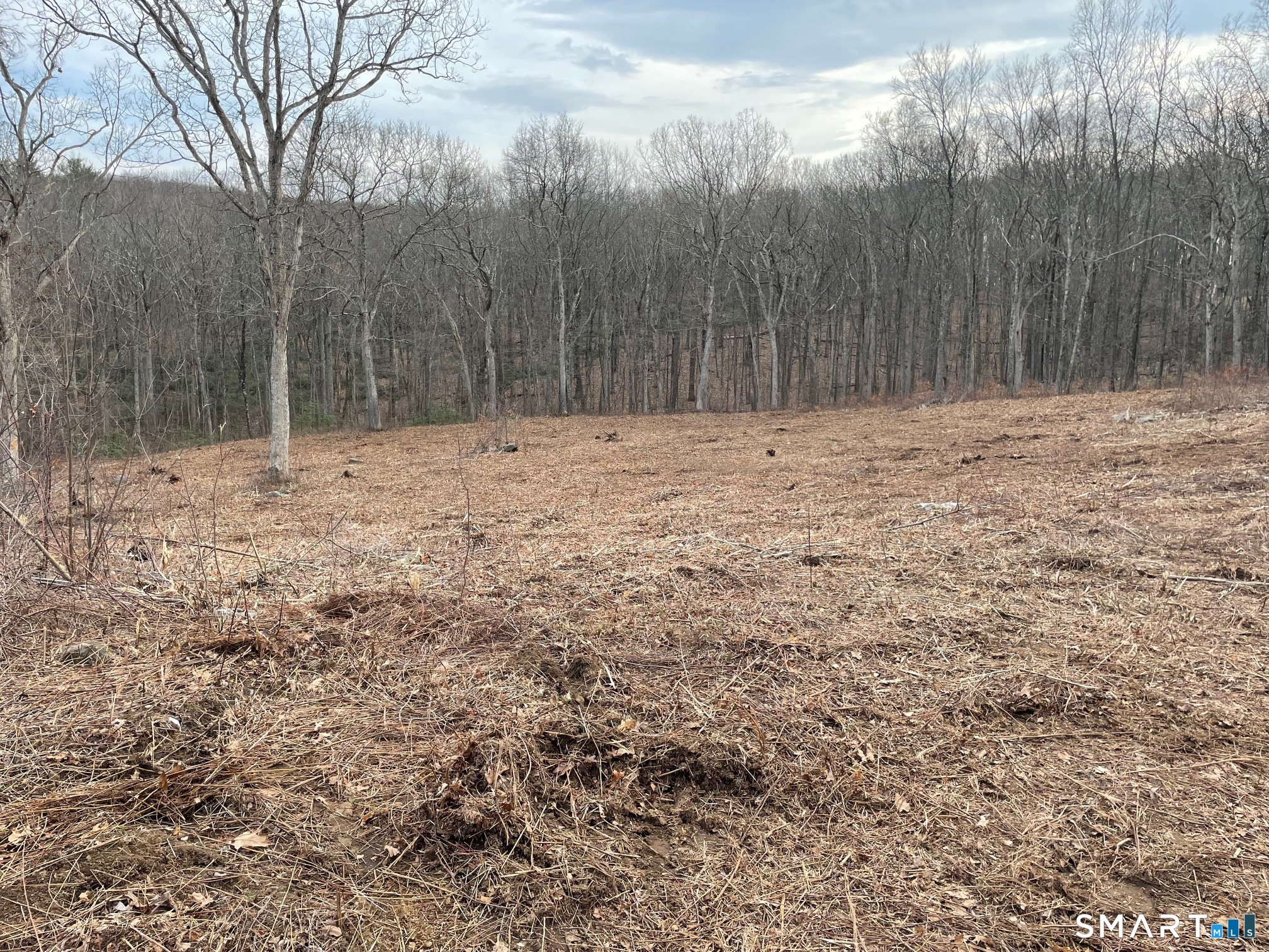 197 Tinker Hill Road Washington, CT 06777 - Photo 23 of 25
