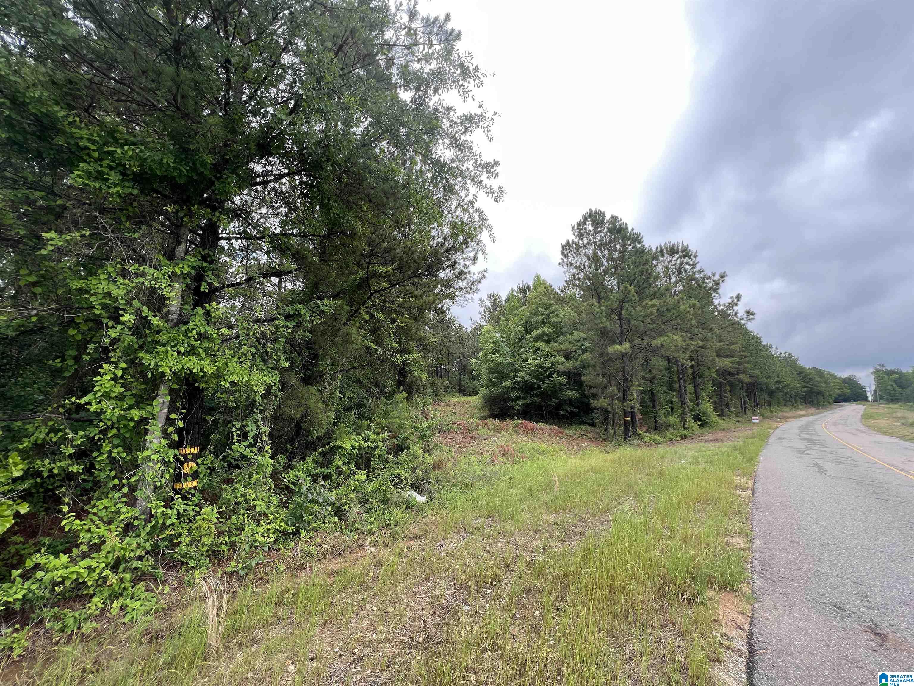0 Bama Rock Garden Road Cottondale, AL 35453 - Photo 2 of 11