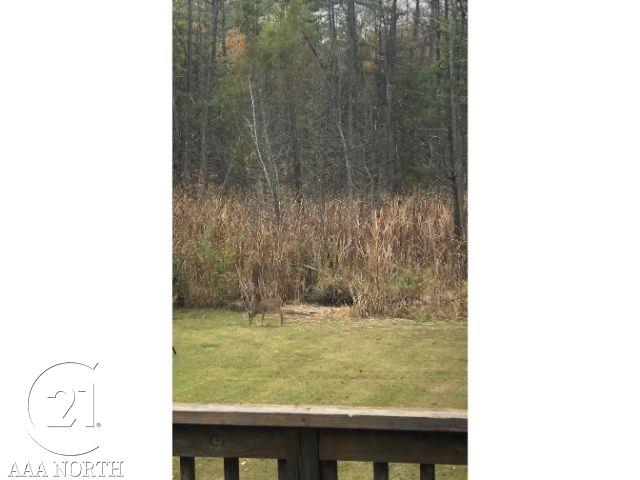9919 Sashabaw Road Clarkston, MI 48348 - Photo 17 of 20 50027531-16.JPG