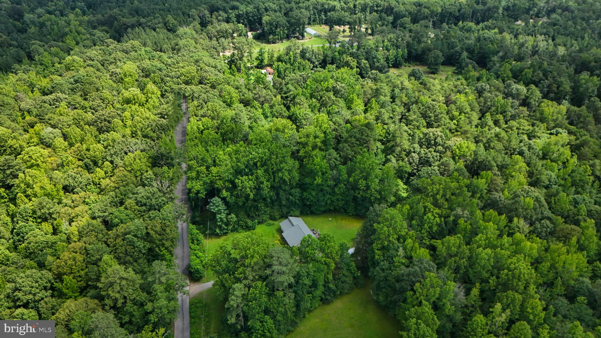 5 Bull Church Road Woodford, VA 22580 - Photo 3 of 11 a view of a lush green forest