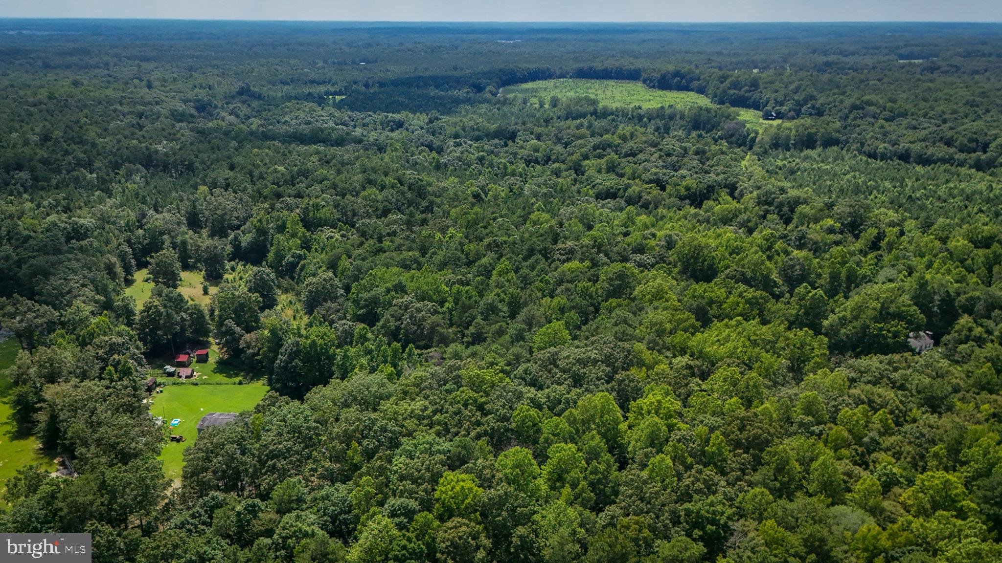 5 Bull Church Road Woodford, VA 22580 - Photo 4 of 11 an aerial view of a house with a lush green forest