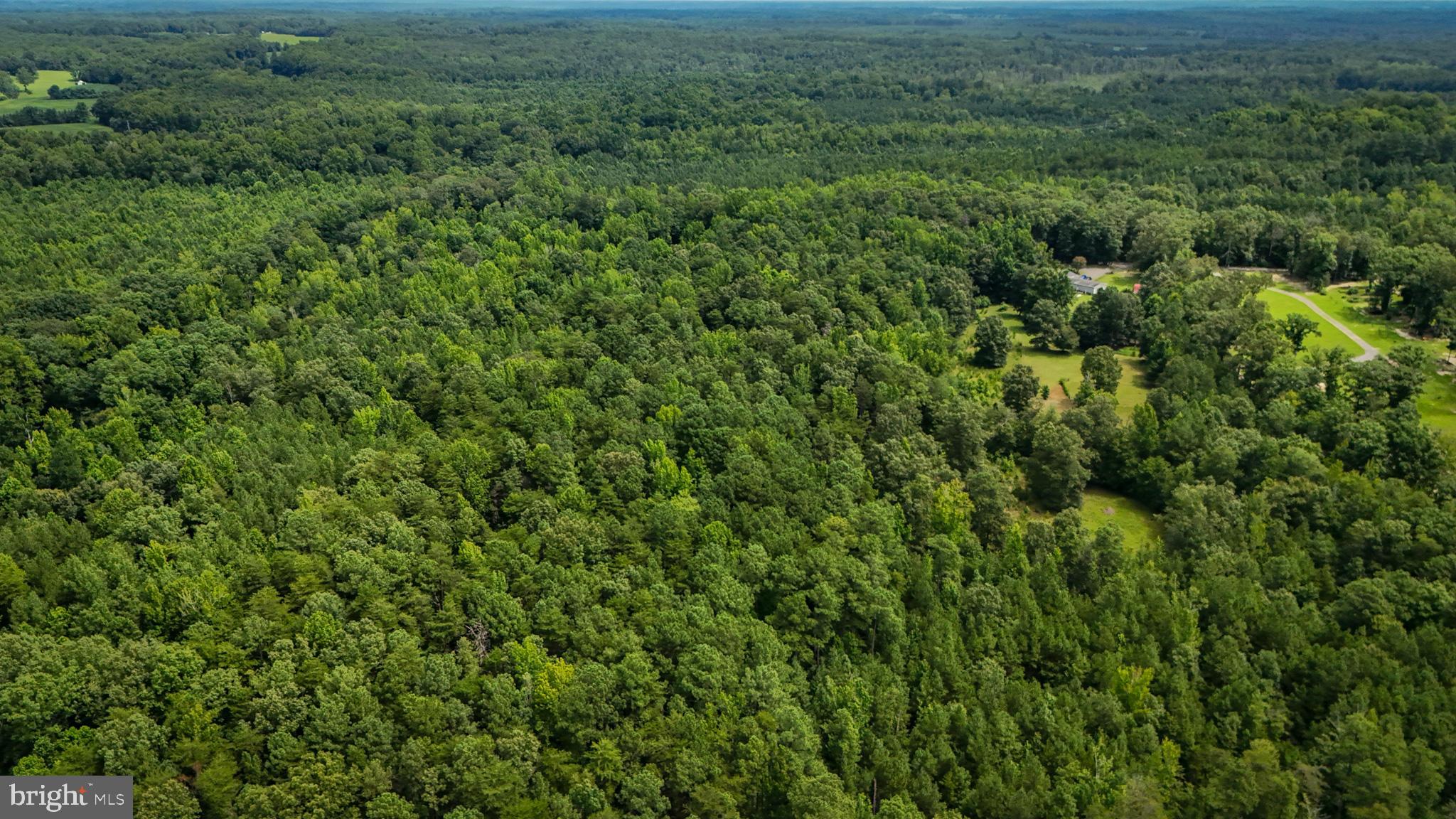 5 Bull Church Road Woodford, VA 22580 - Photo 5 of 11 a view of a big yard with plants and large trees