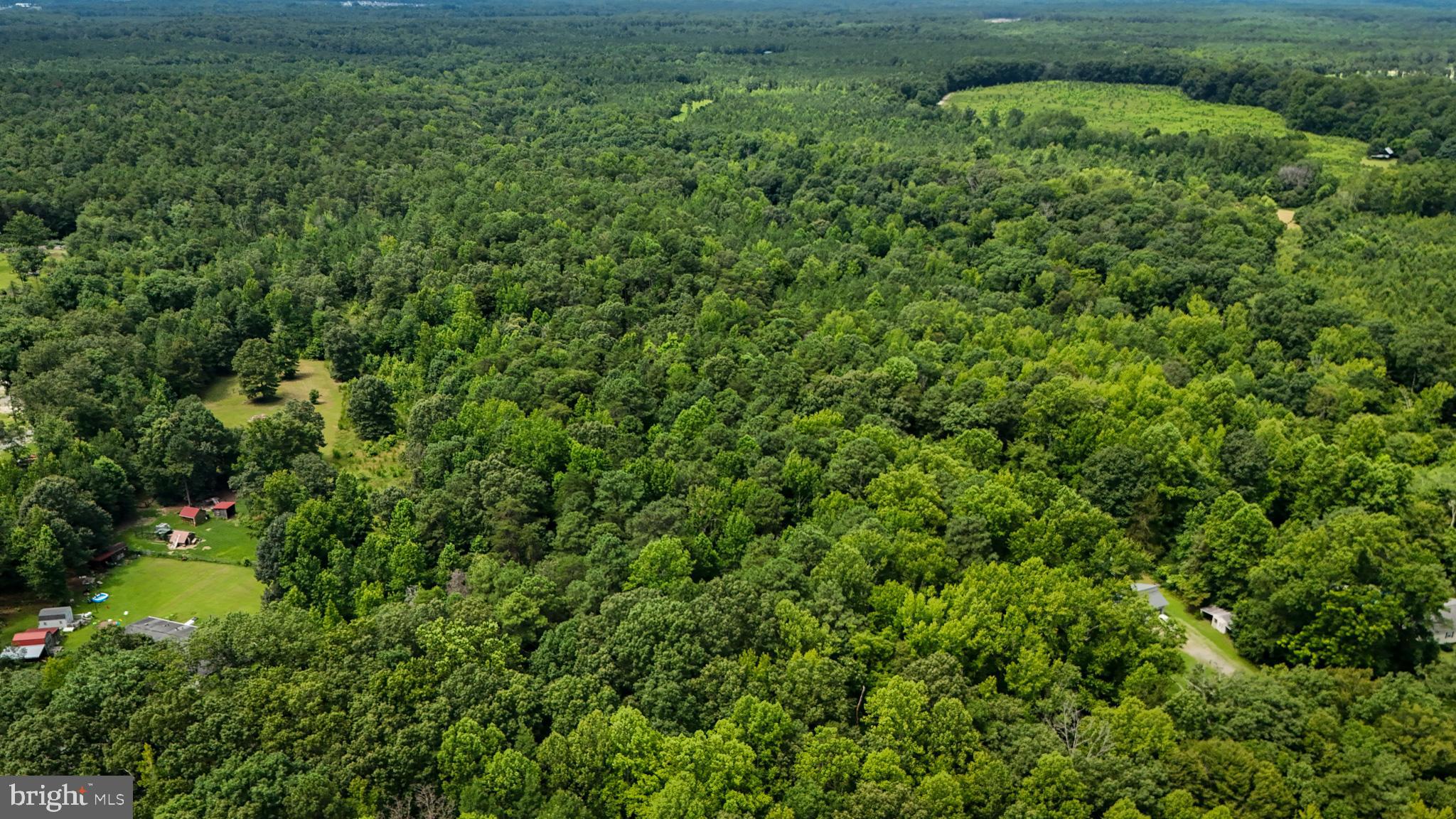 5 Bull Church Road Woodford, VA 22580 - Photo 9 of 11 a view of a lush green forest with a houses