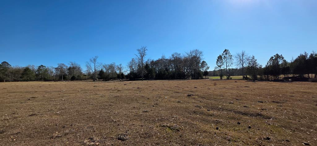 12.7-acres Nobles Road Dothan, AL 36301 - Photo 22 of 41