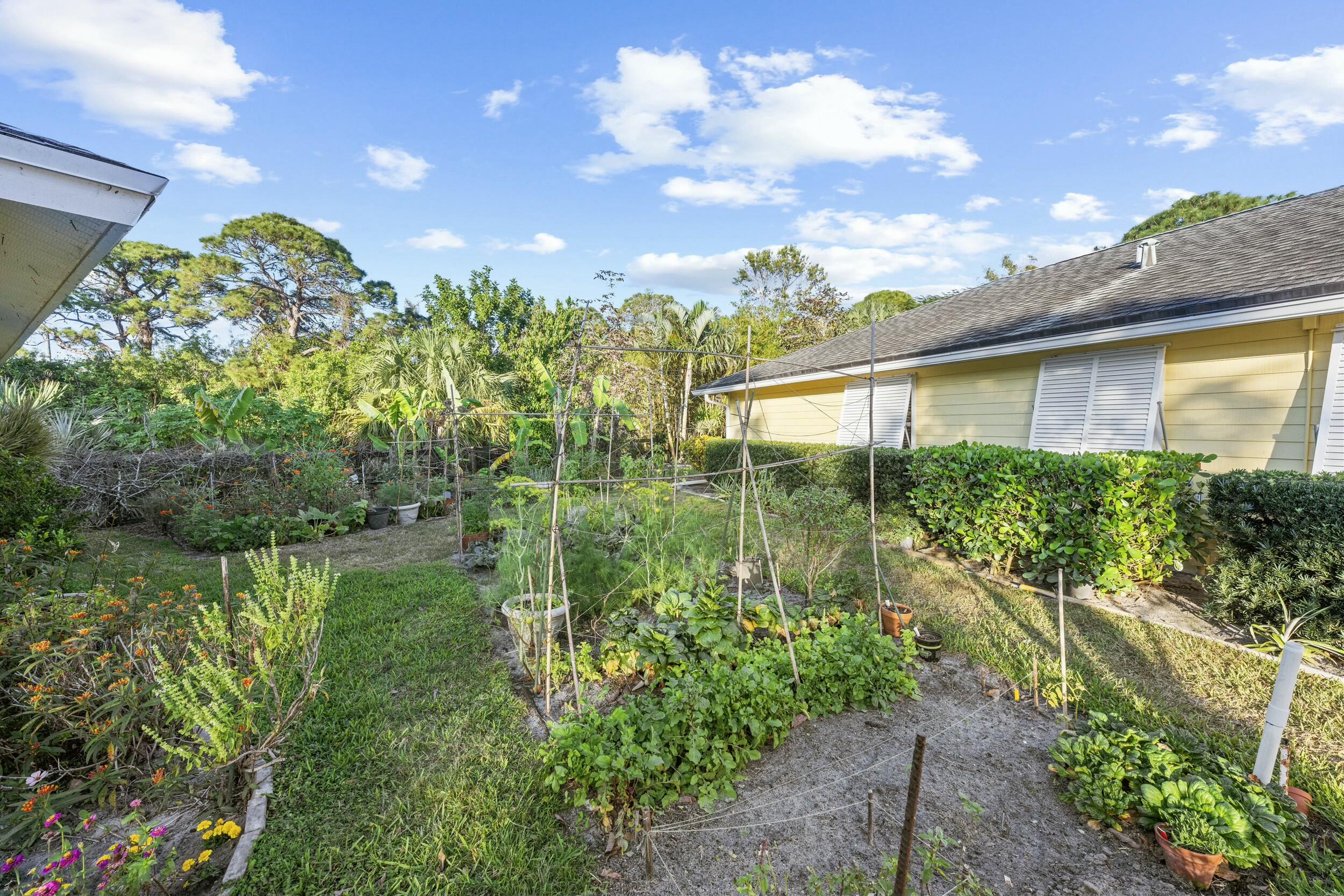 19077 Southeast County Line Road Jupiter, FL 33469 - Photo 59 of 74 Garden