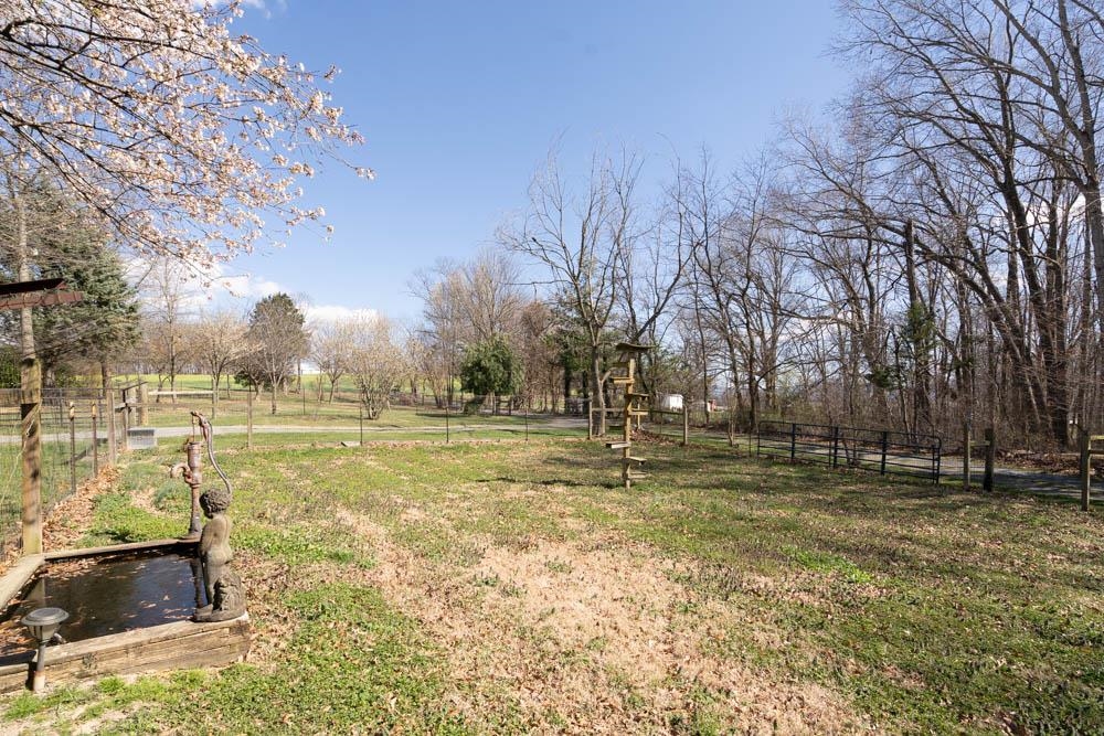 1601 Rinacas Corner Road Shenandoah, VA 22849 - Photo 42 of 60 Gallery Image 42