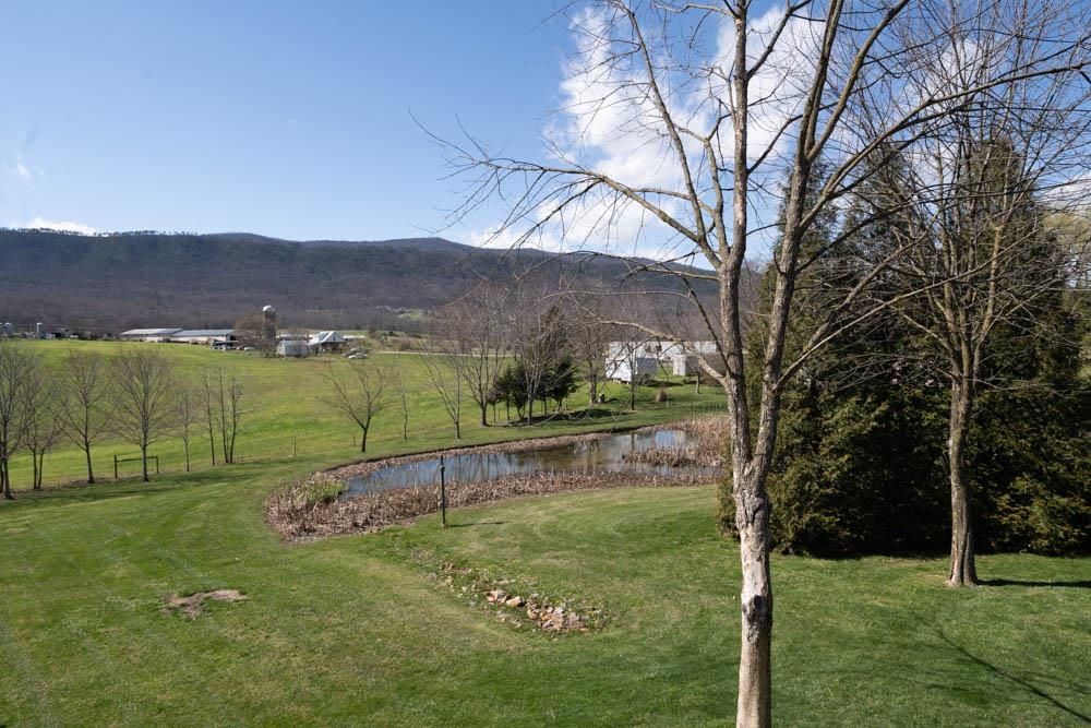 1601 Rinacas Corner Road Shenandoah, VA 22849 - Photo 48 of 60 Gallery Image 48