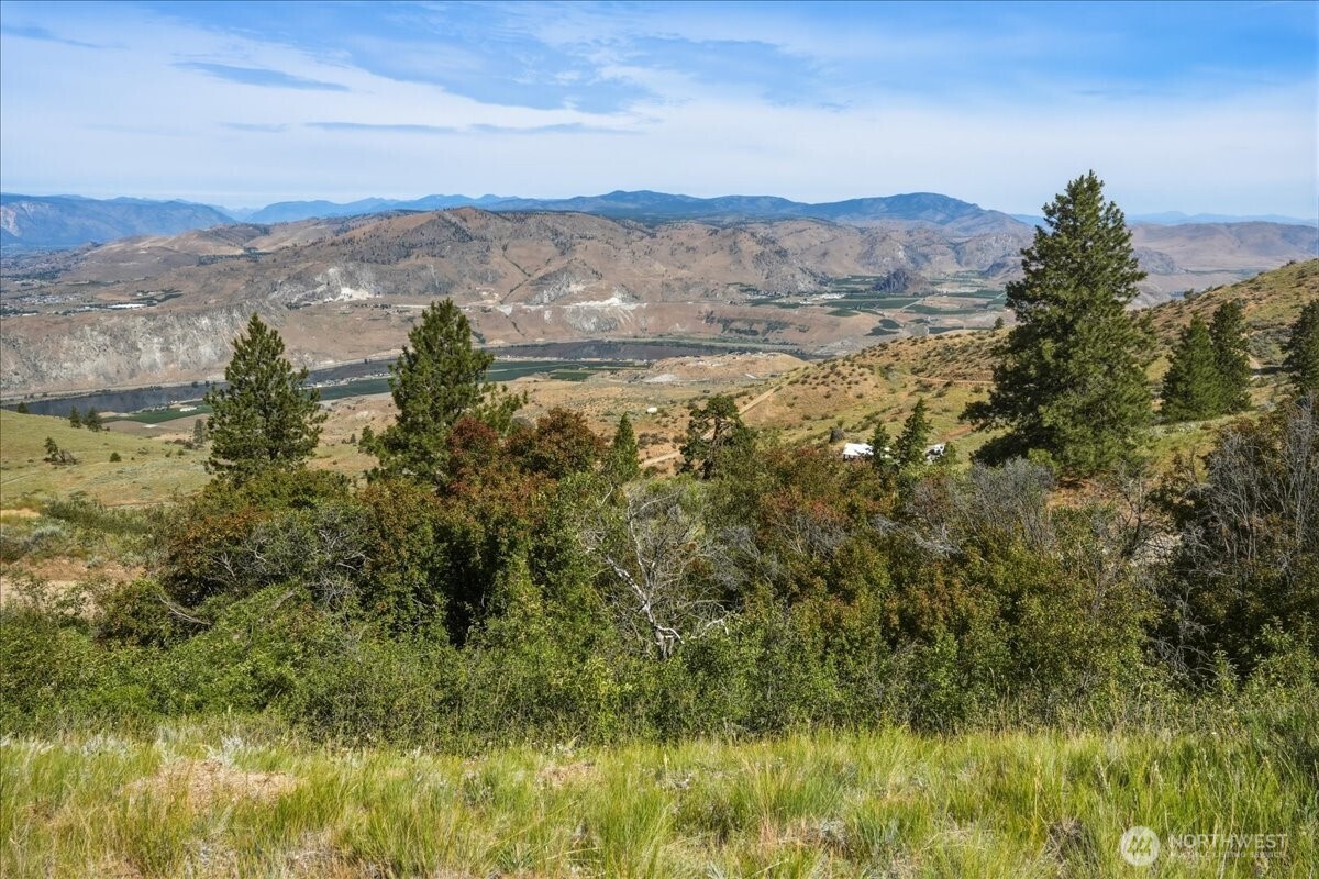 85 Eagles Nest Road Orondo, WA 98843 - Photo 16 of 36