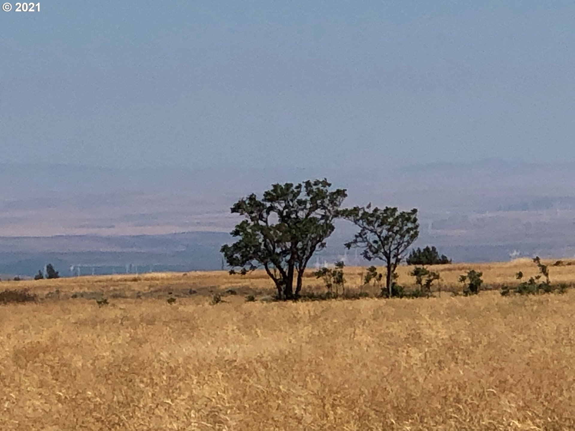 Crider Valley Road Bickleton, WA 99322 - Photo 1 of 5 Gallery Image 1