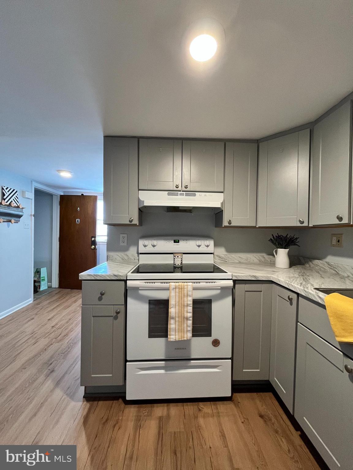 118 East Lancaster Avenue, Unit 3 Wayne, PA 19087 - Photo 7 of 19
