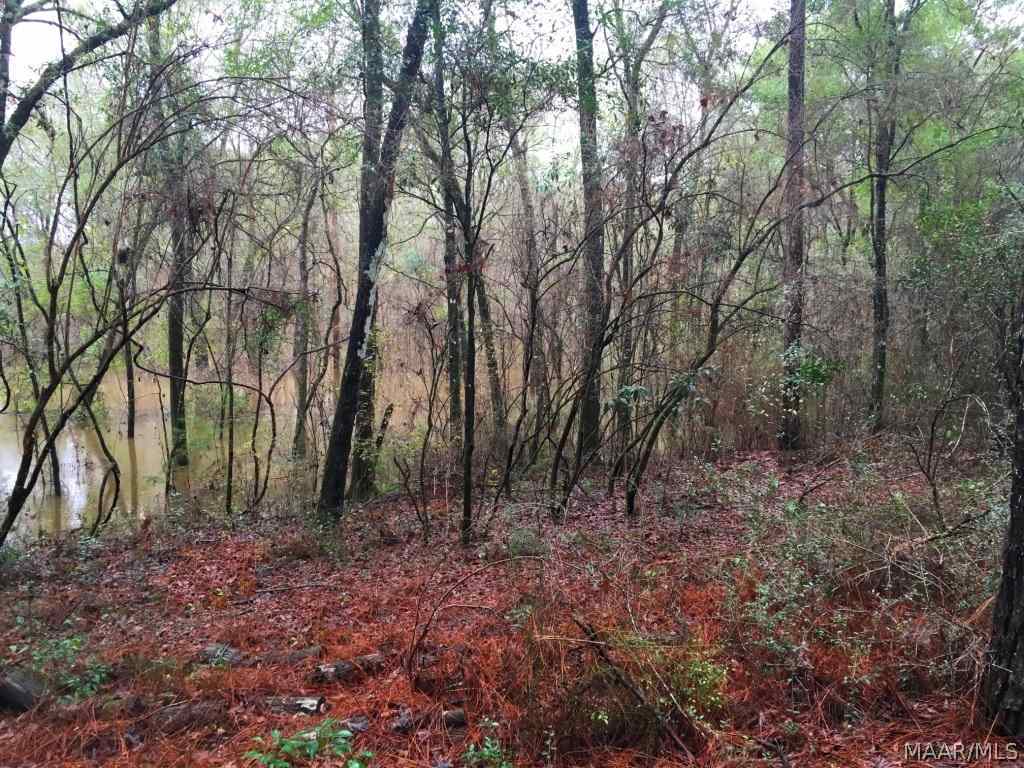 30 Acres Mound Road Black, AL 36314 - Photo 15 of 16 Gallery Image 15