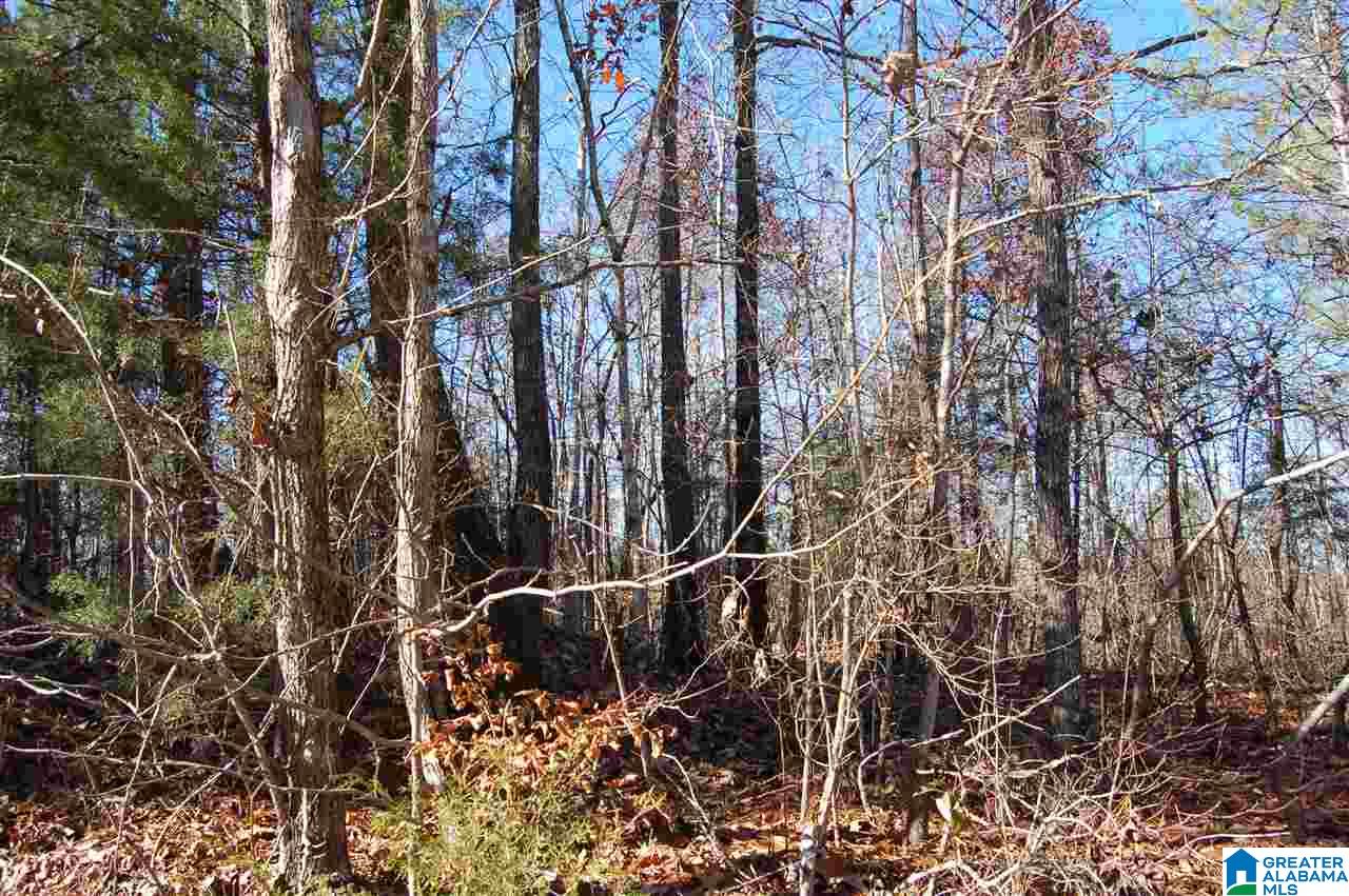 101 County Road, Unit 10 Equality, AL 36026 - Photo 6 of 8