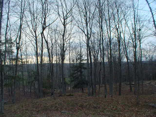1 Butternut Ridge Sterling, PA 18463 - Photo 4 of 5
