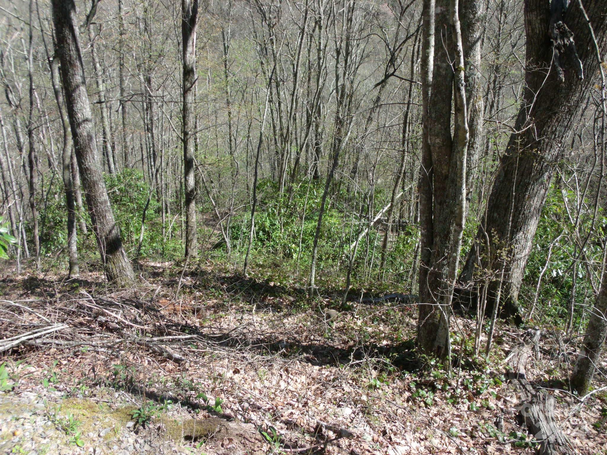 0 Long Branch Road, Unit 19 Maggie Valley, NC 28751 - Photo 11 of 16 Gallery Image 11