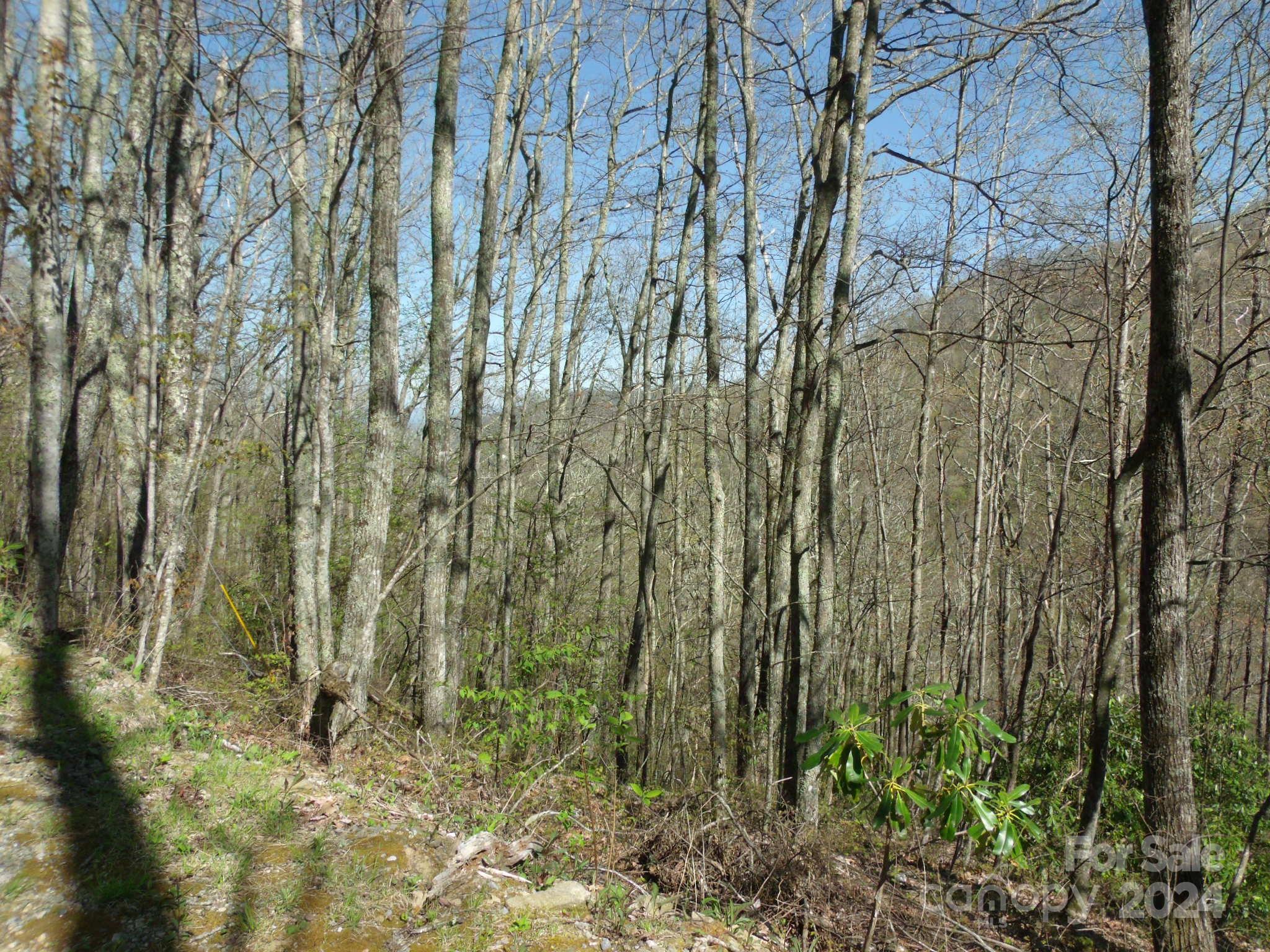 0 Long Branch Road, Unit 19 Maggie Valley, NC 28751 - Photo 9 of 16 Gallery Image 9