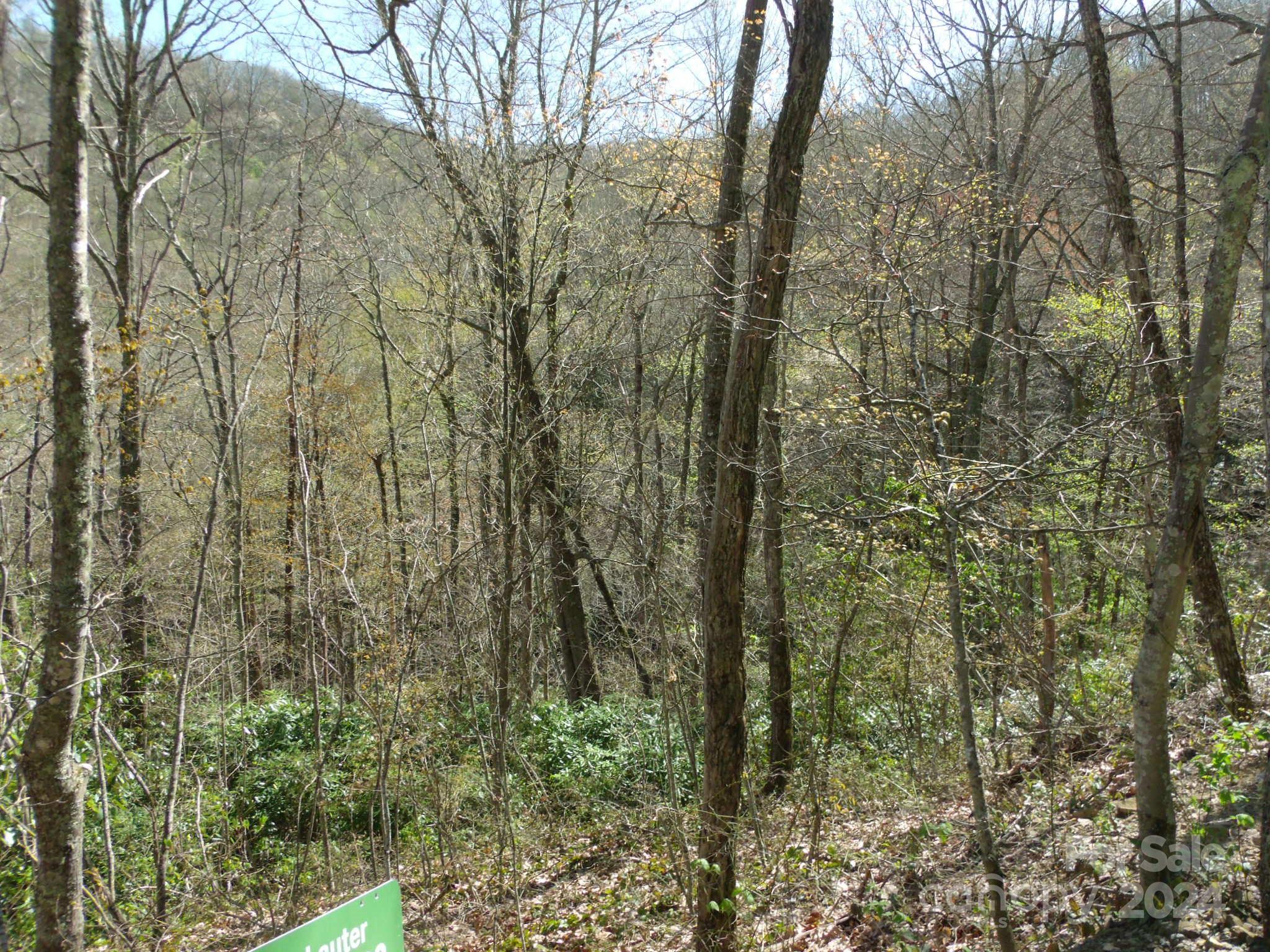 0 Long Branch Road, Unit 19 Maggie Valley, NC 28751 - Photo 10 of 16 Gallery Image 10