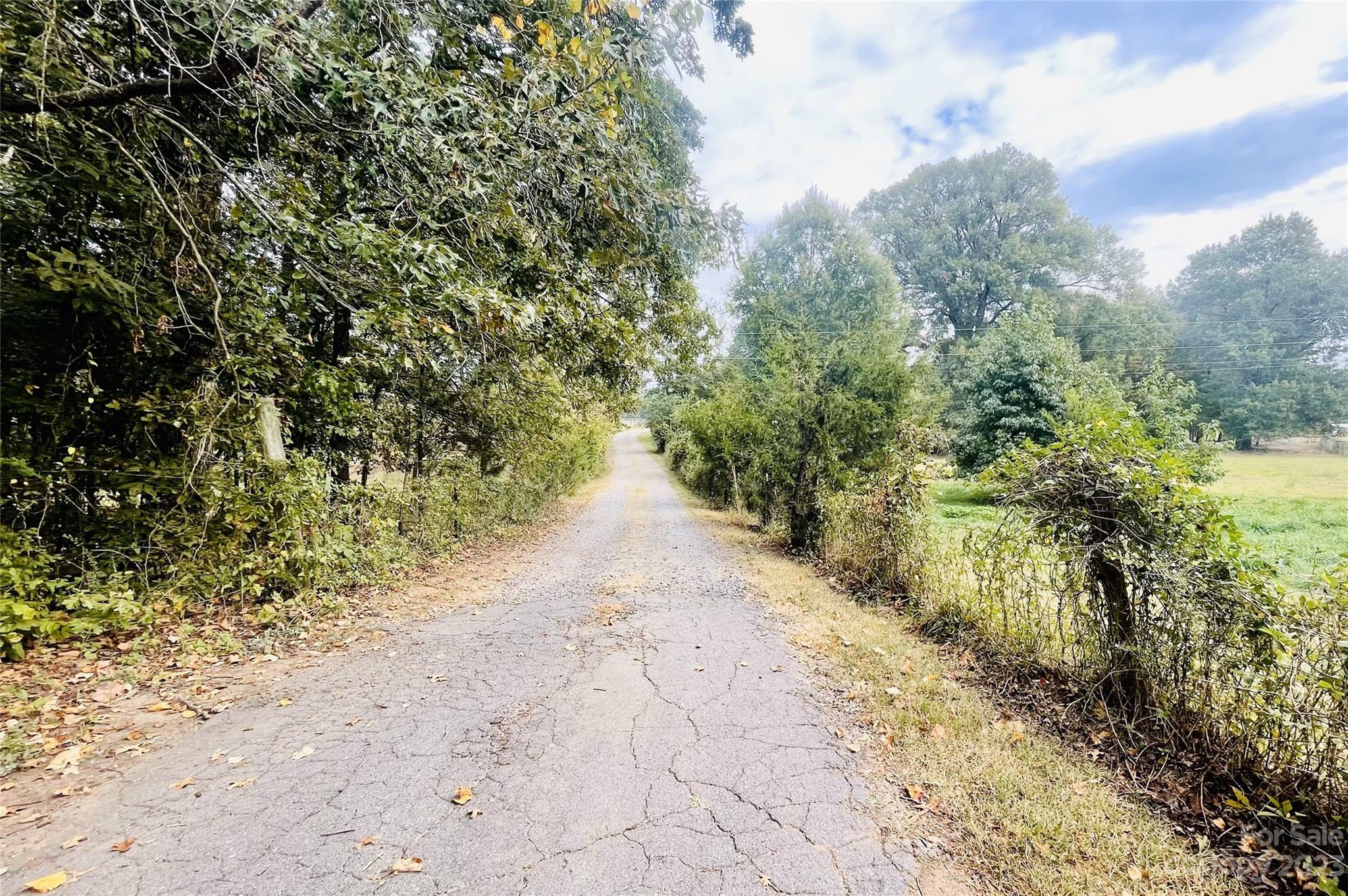 922 State Rd S-46-1102 York, SC 29745 - Photo 12 of 20 a view of a pathway with a yard