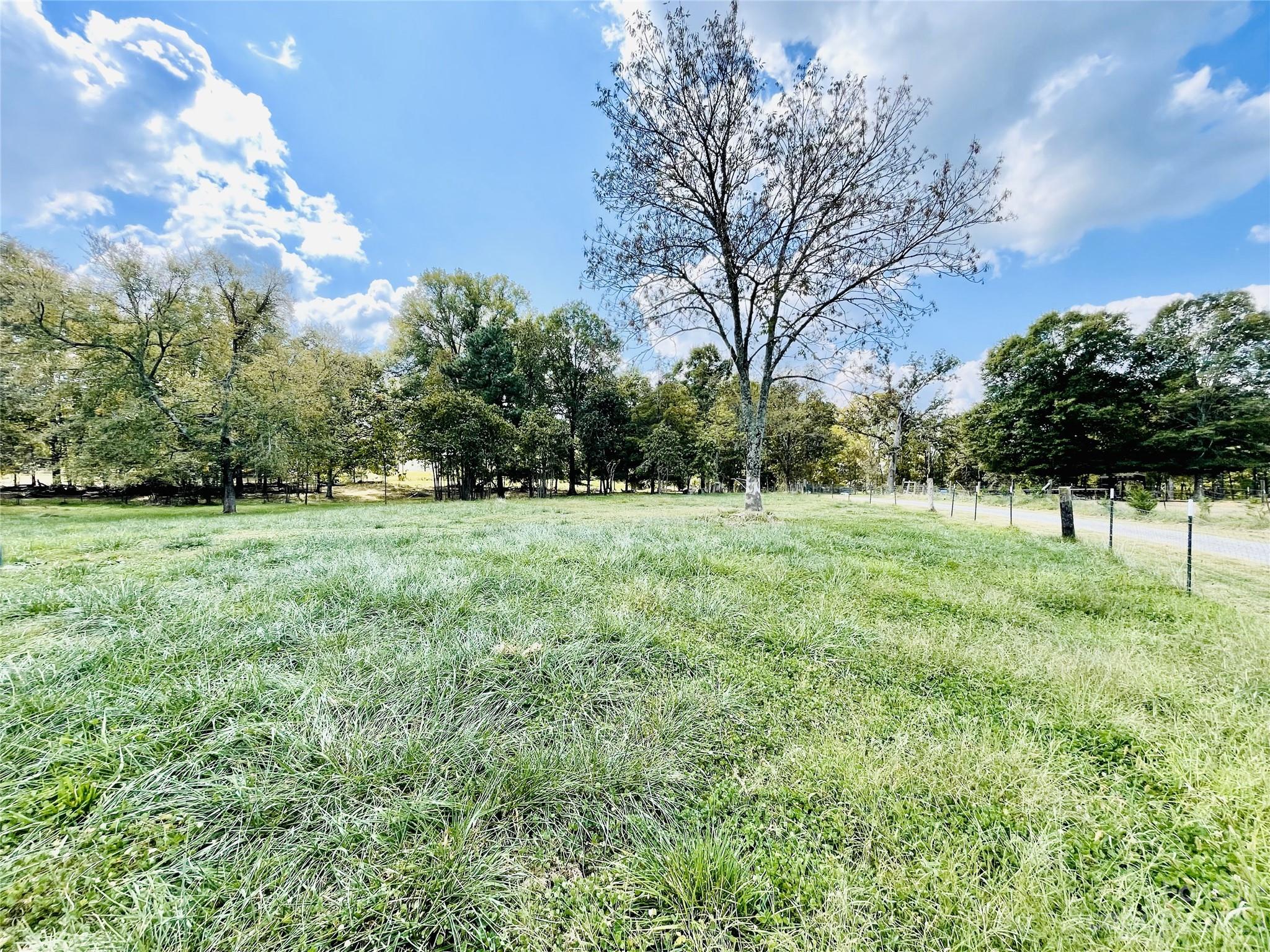 922 State Rd S-46-1102 York, SC 29745 - Photo 5 of 20 a view of a garden