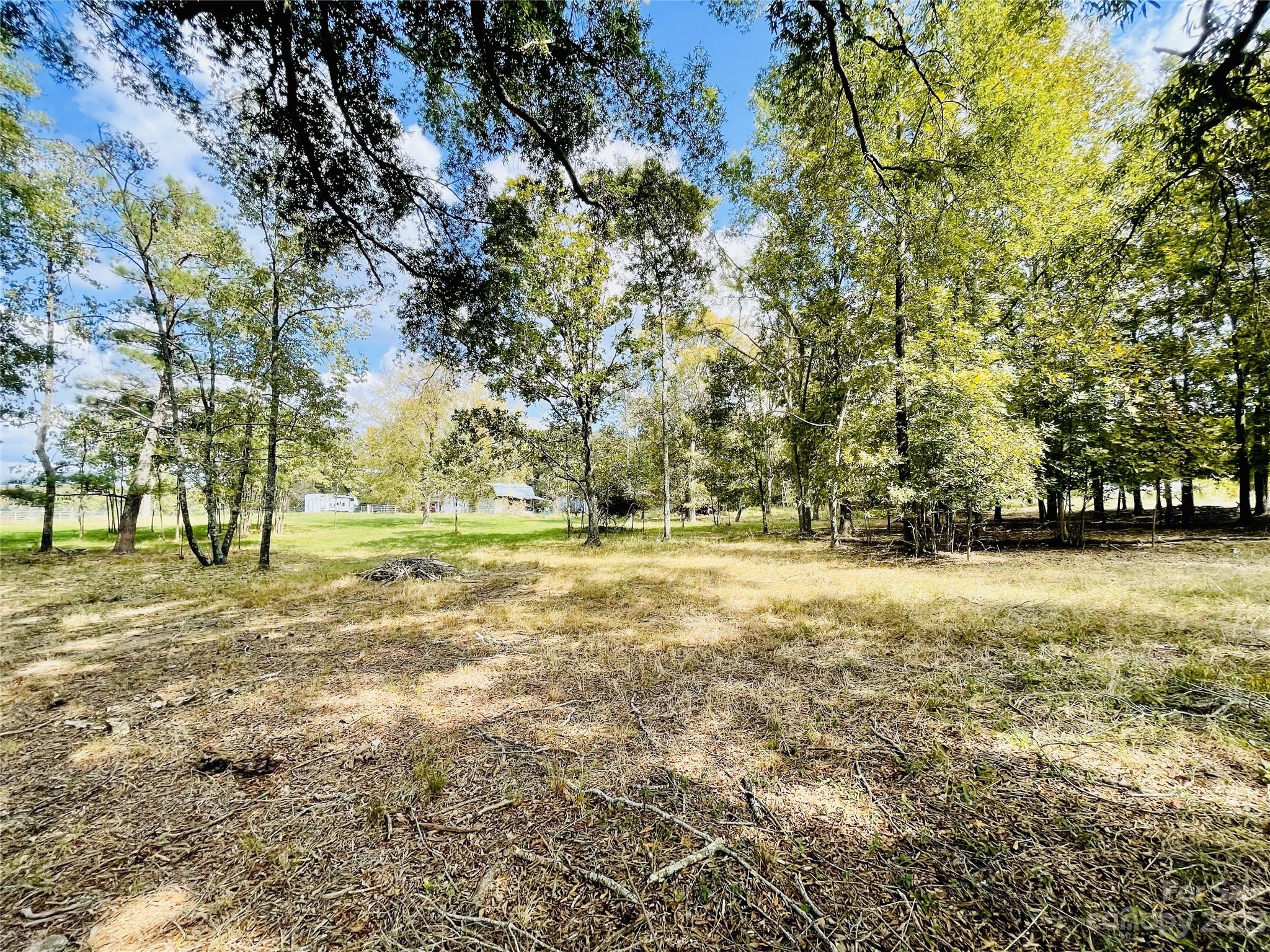 922 State Rd S-46-1102 York, SC 29745 - Photo 6 of 20 a view of yard with trees