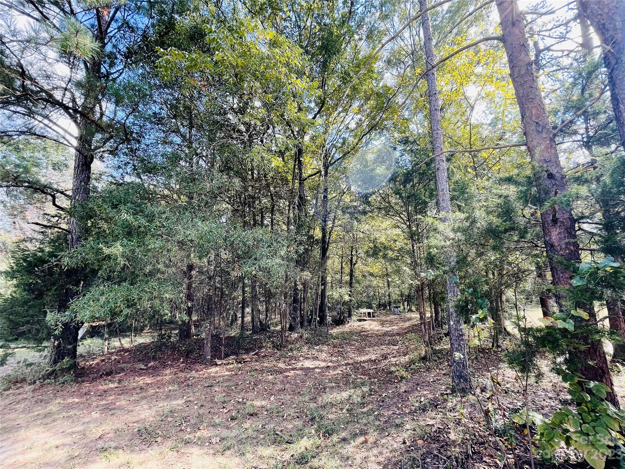 922 State Rd S-46-1102 York, SC 29745 - Photo 10 of 20 a view of outdoor space and trees
