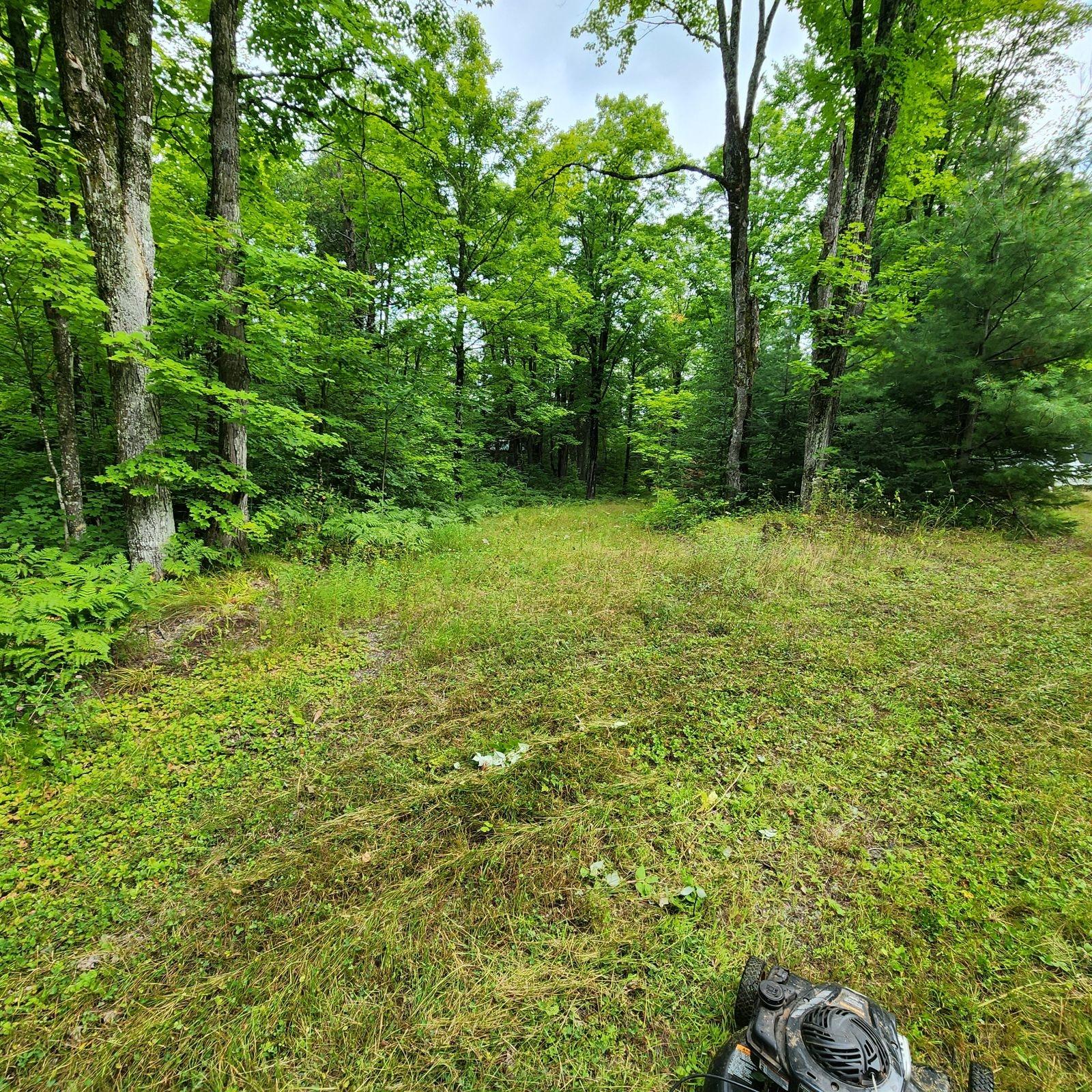 1010 County Line Lake Road Watersmeet, MI 49969 - Photo 28 of 34 Gallery Image 28