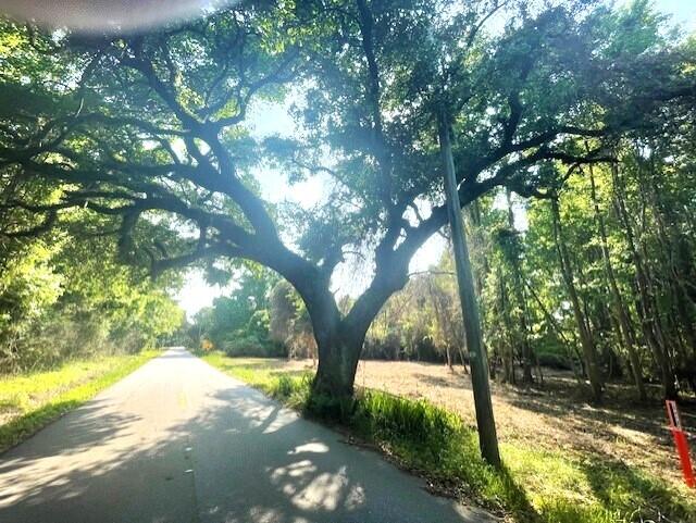 332 Dupre Road McClellanville, SC 29458 - Photo 4 of 6 thumbnail_IMG_0673