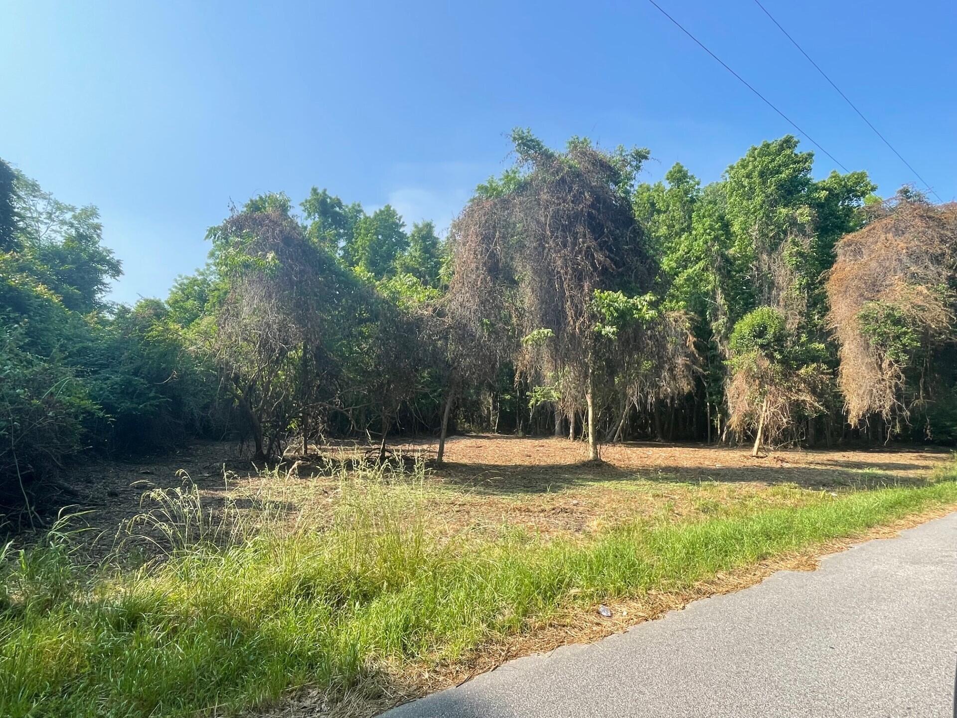 332 Dupre Road McClellanville, SC 29458 - Photo 5 of 6 thumbnail_IMG_0663 (1)