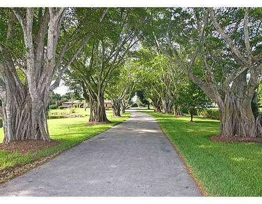 13850 Stirling Road Southwest Ranches, FL 33330 - Photo 4 of 20 a view of a yard with large trees