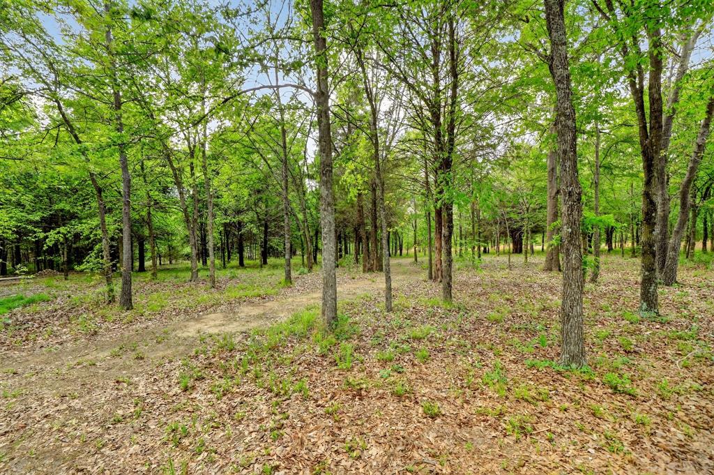 2211 Canyon Lake Road Wills Point, TX 75169 - Photo 34 of 40