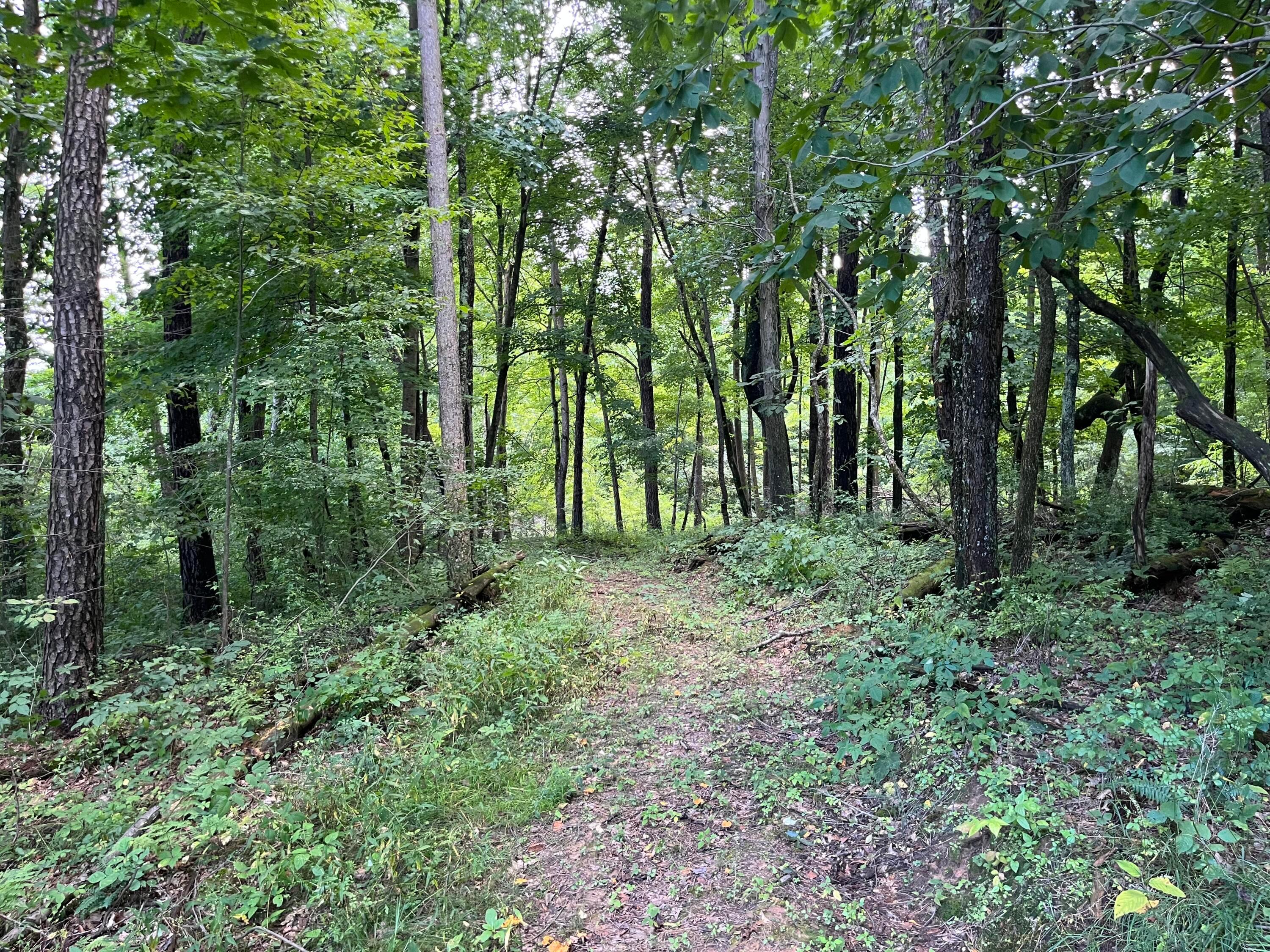 12600 Gilchrist Road Mount Vernon, OH 43050 - Photo 55 of 64 IMG_3294