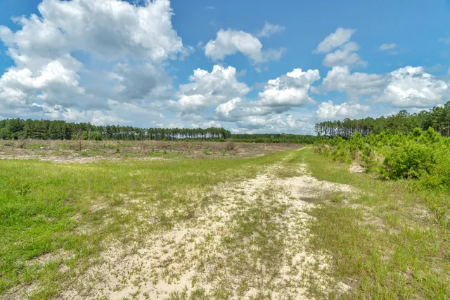 $169,000 | 5120 North Brewington Road, Unit 5, Alcolu, SC 29001