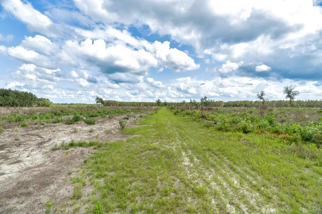 $169,000 | 5120 North Brewington Road, Unit 5, Alcolu, SC 29001